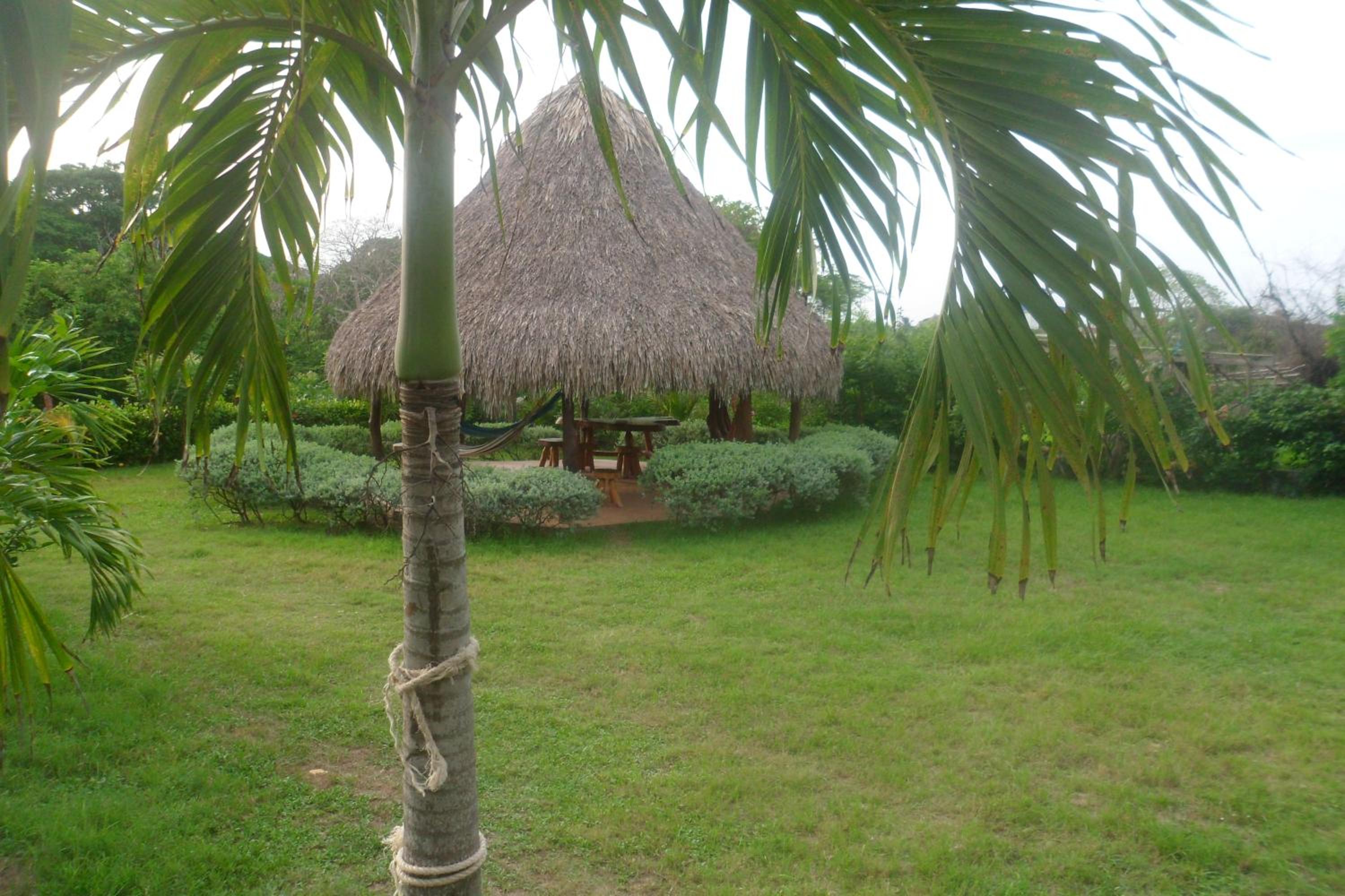 Photo 8