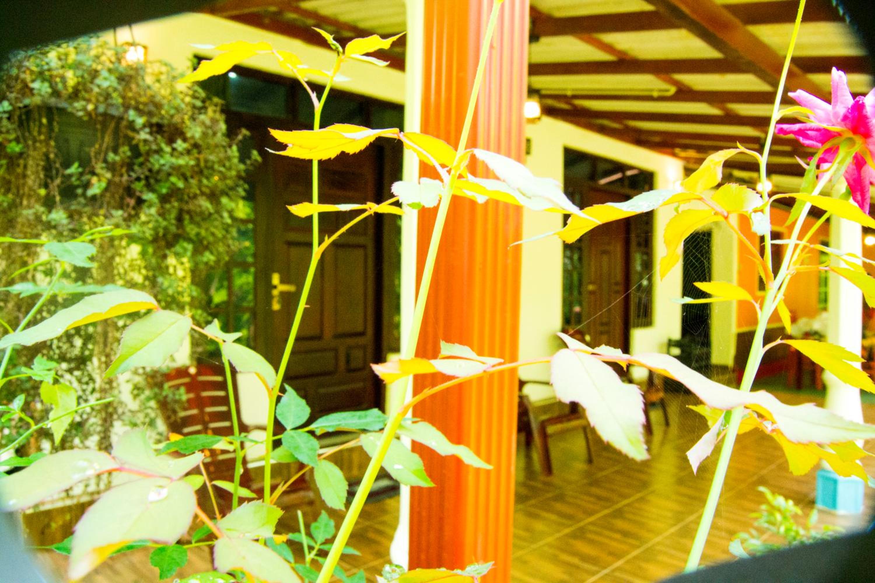 Senura Home Stay view 3