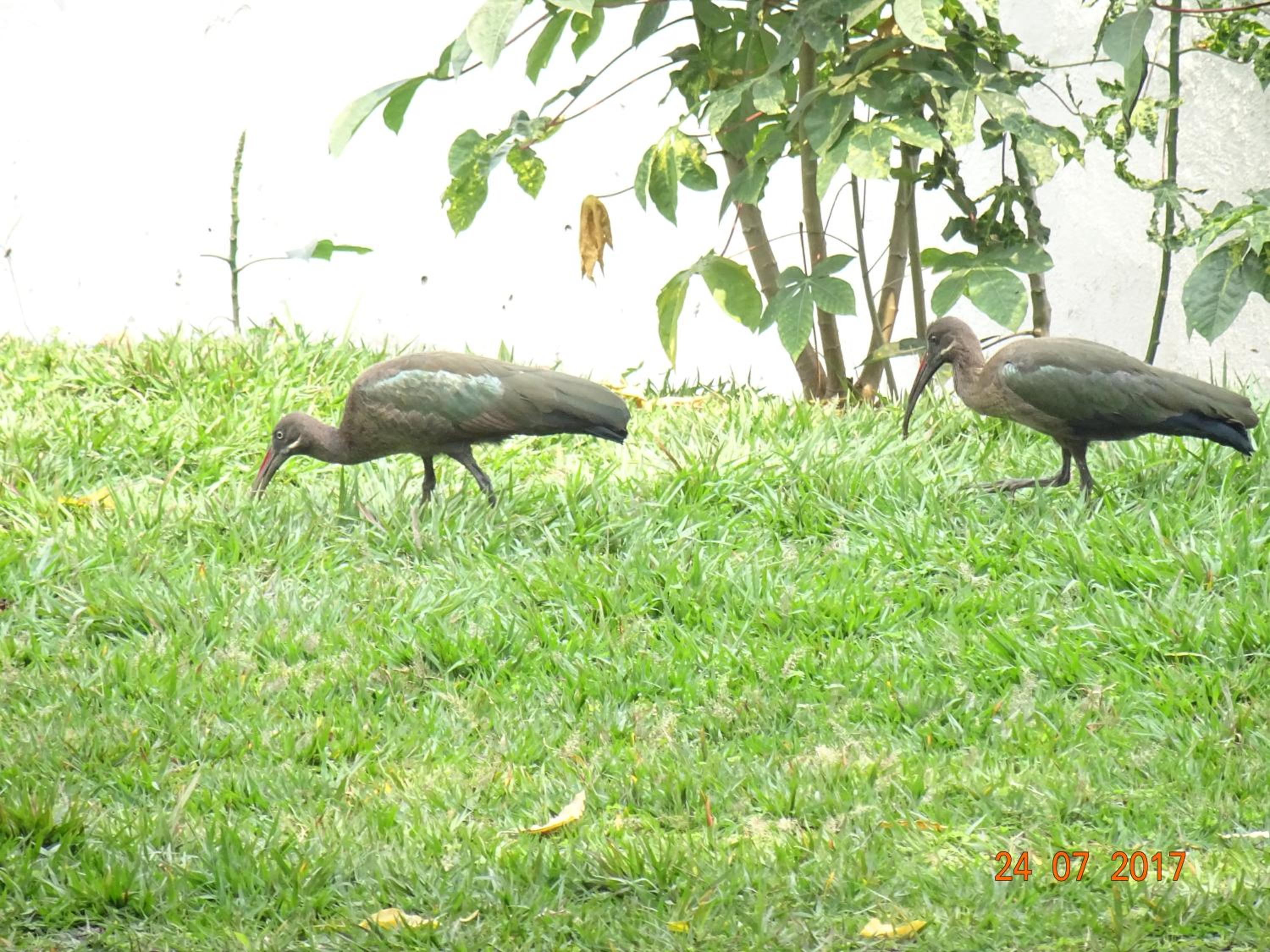 Kivu Beach Garden, photo 13