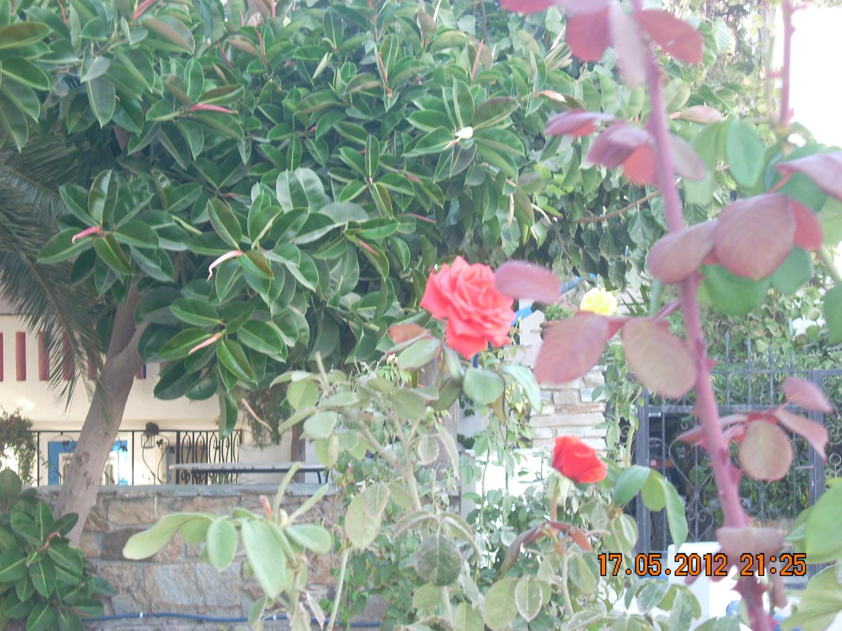 other