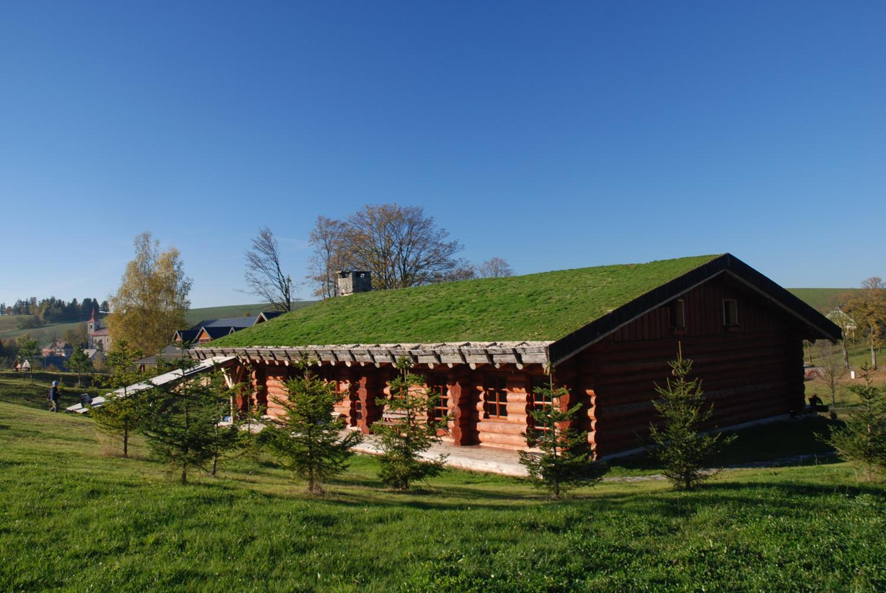 Photo 42