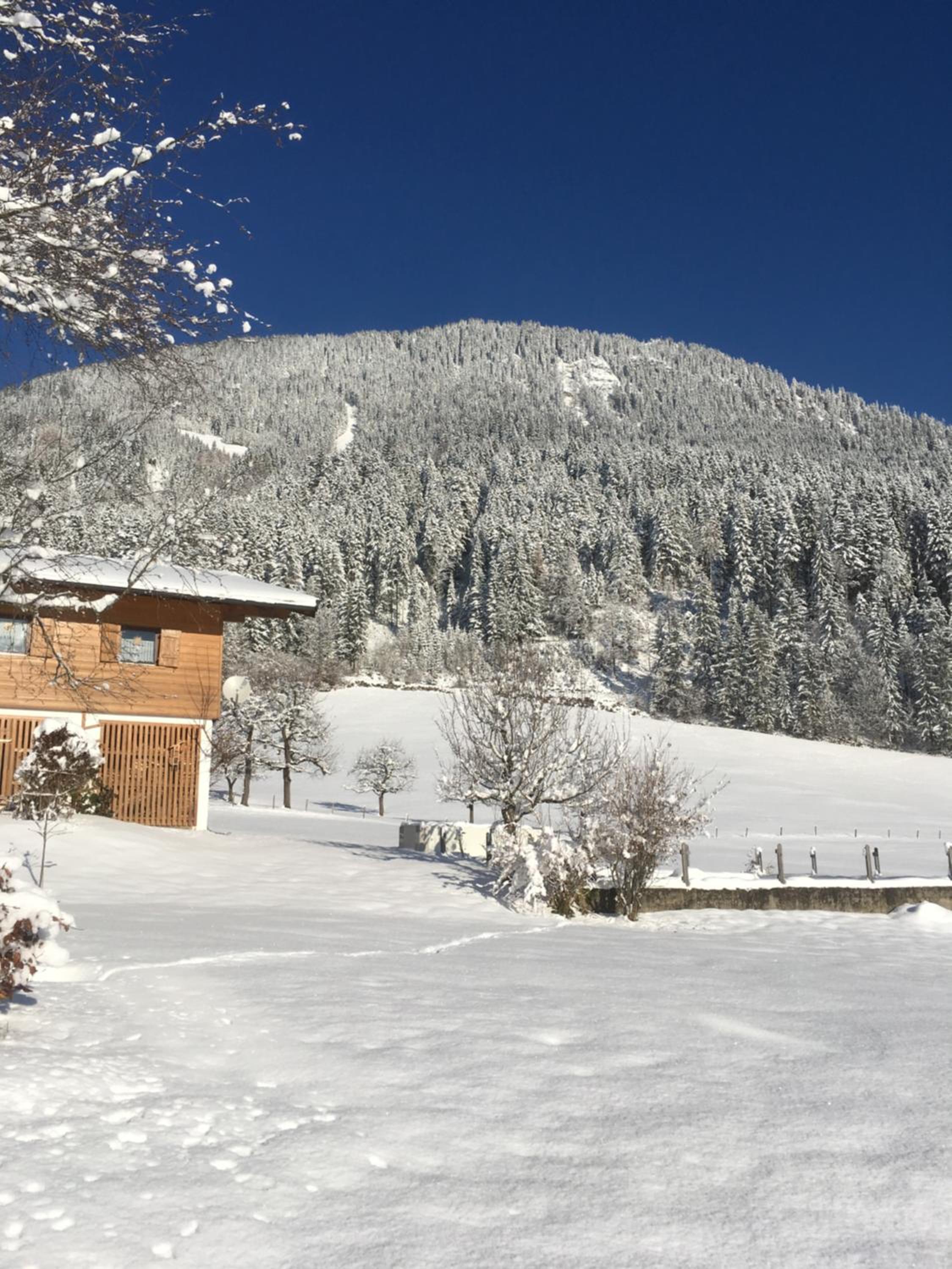 Ferienwohnung Wieser