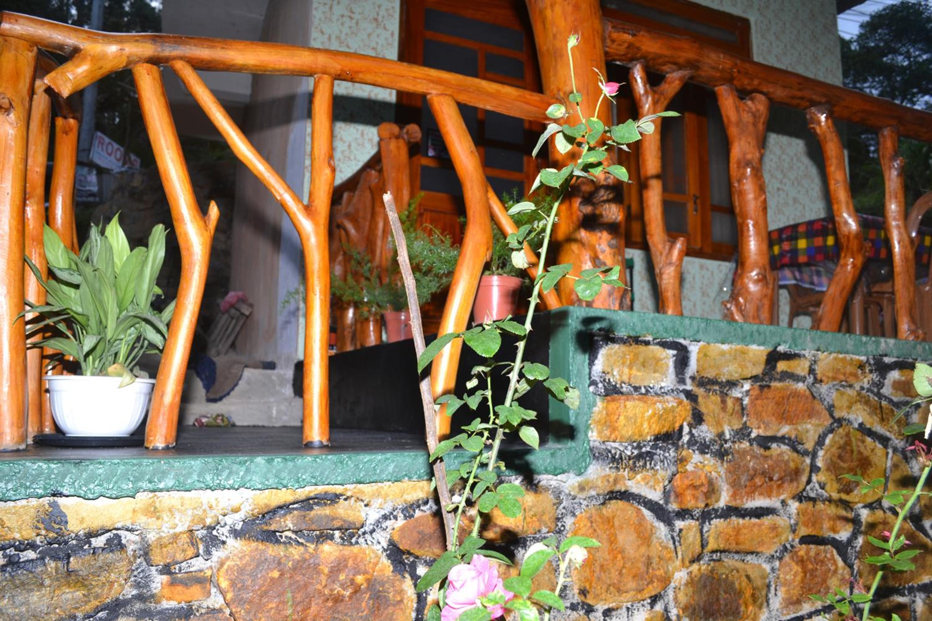 Photo 19