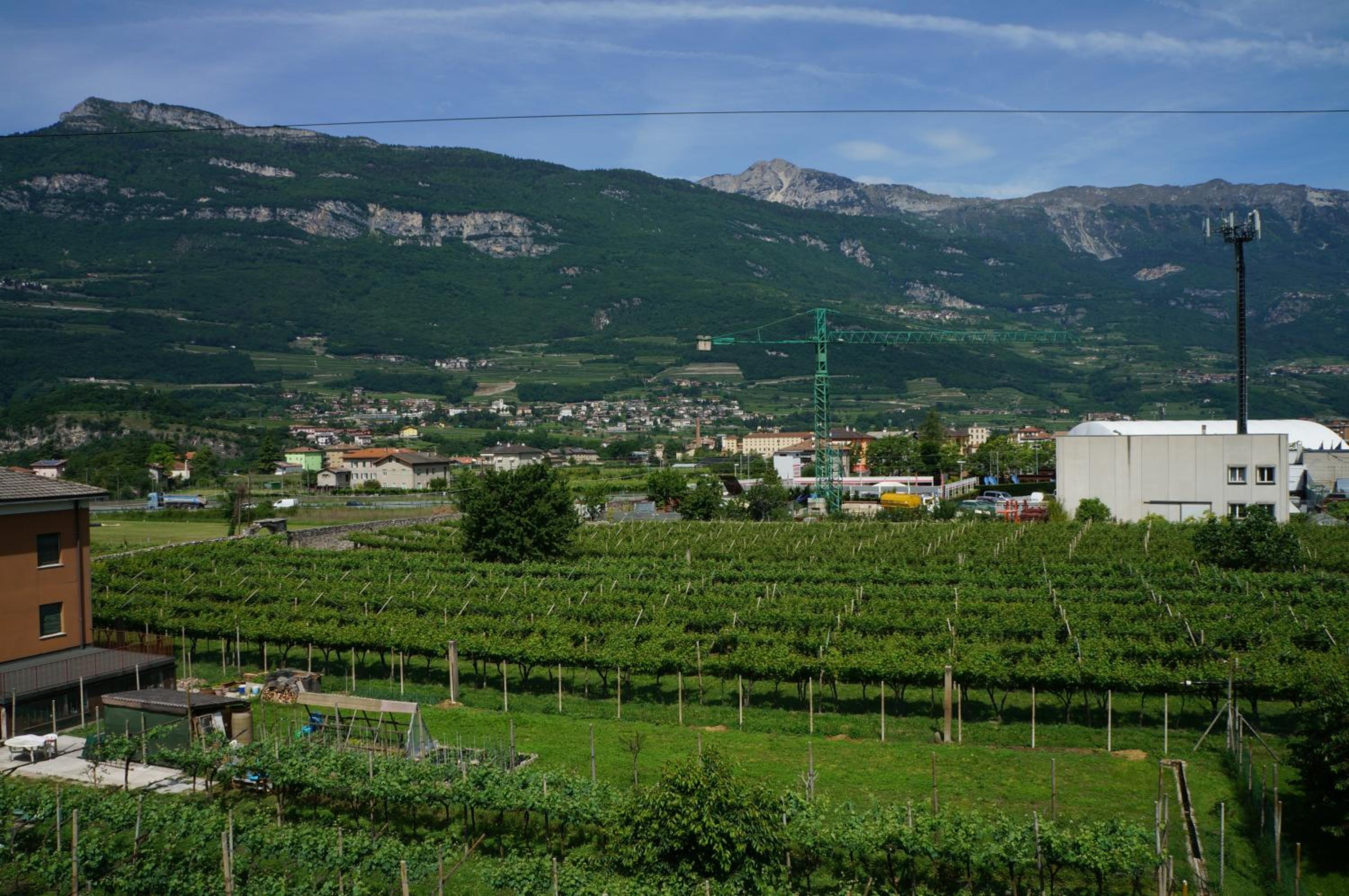 Cà delle Rose view 3