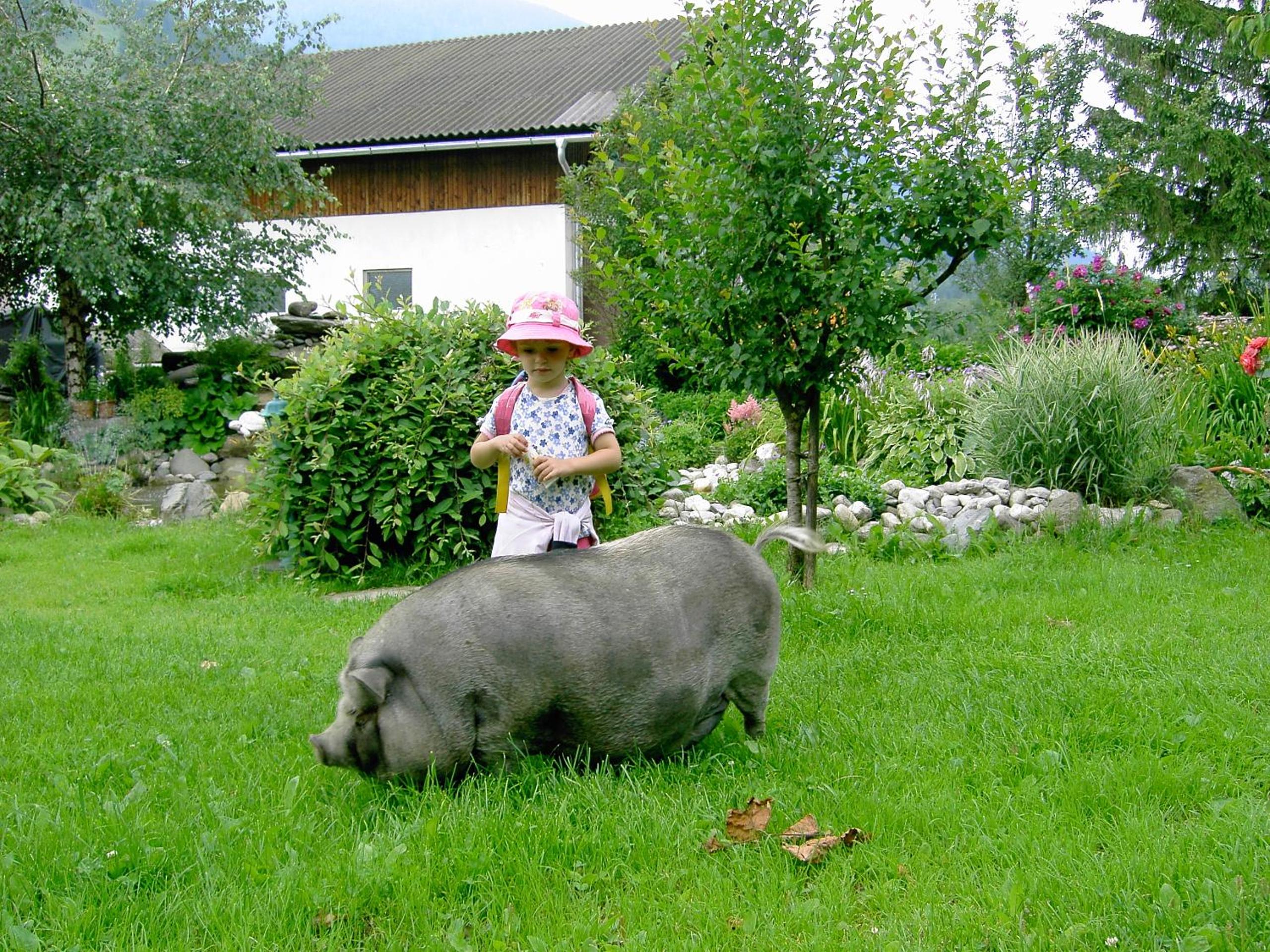 Moosbauerhof