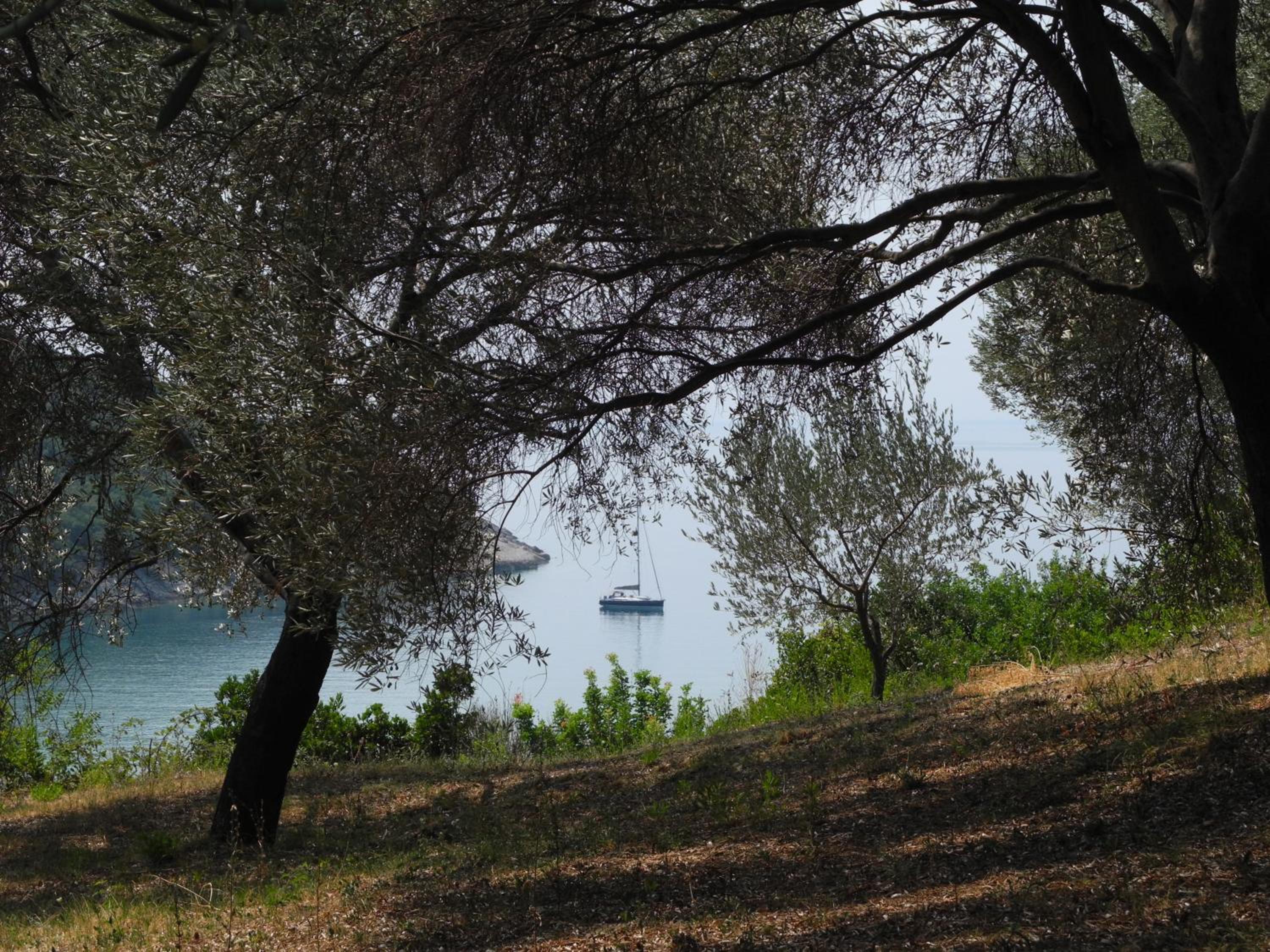 Photo 41