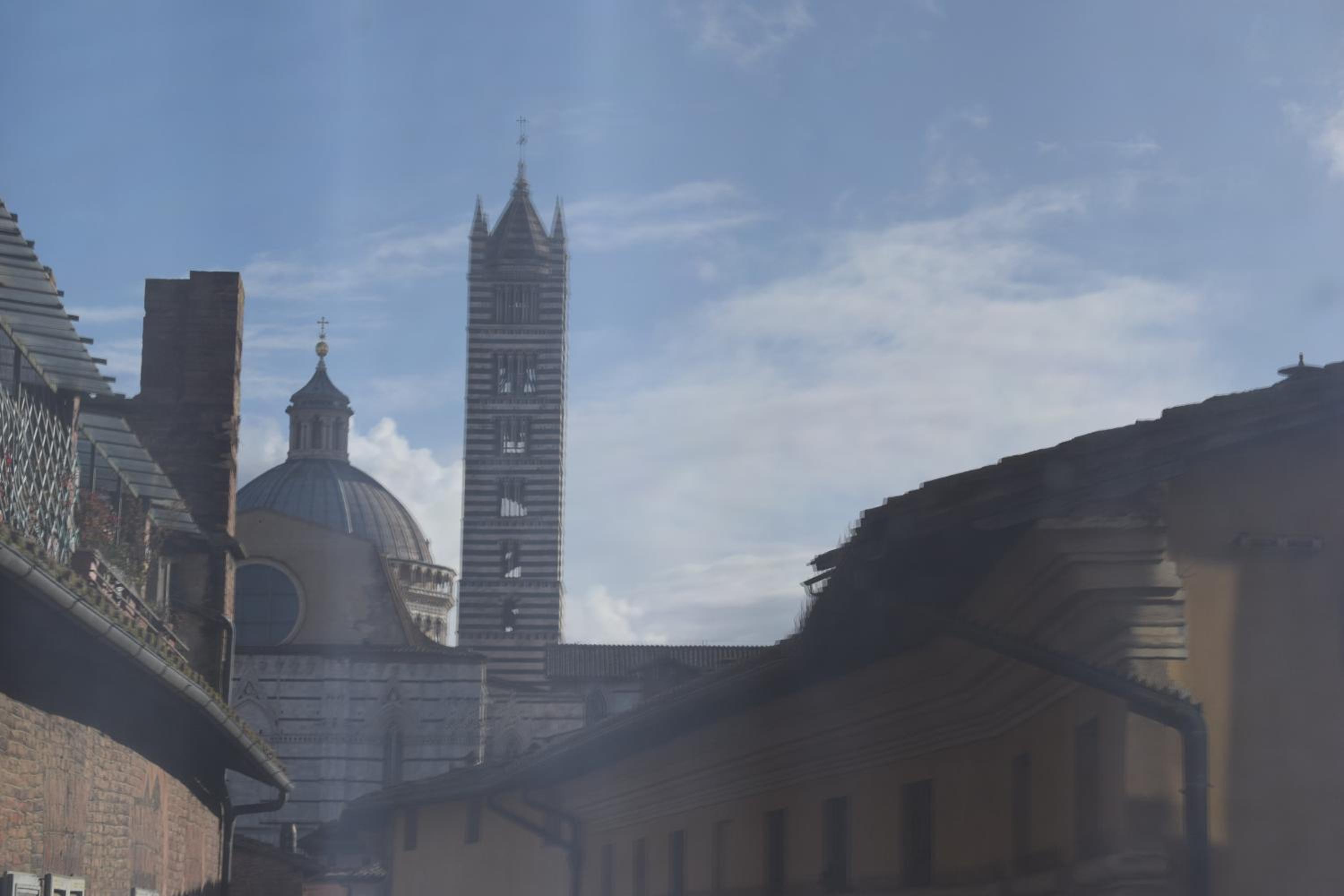 siena centro, civetta