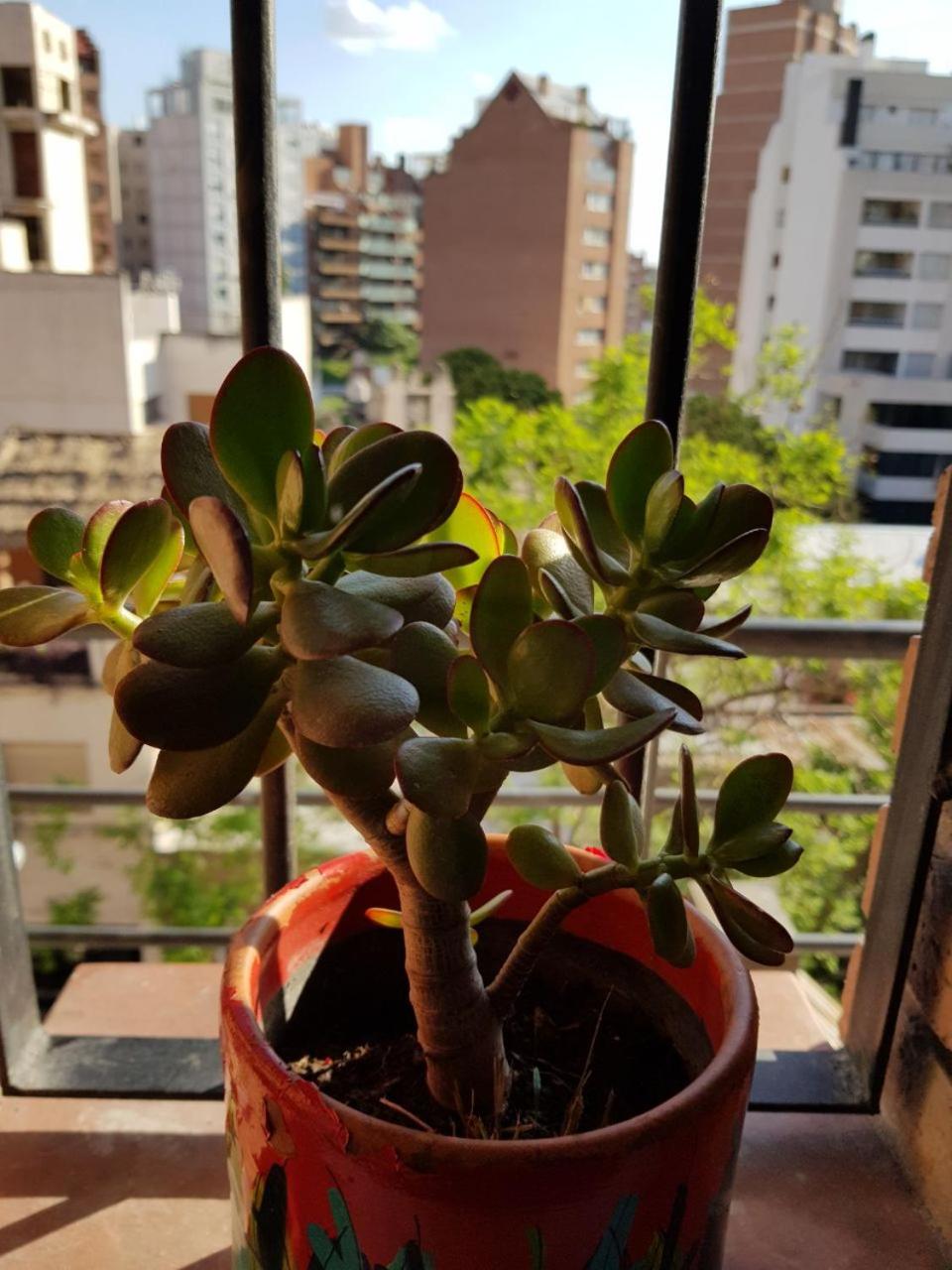 Apartamento Carlucci