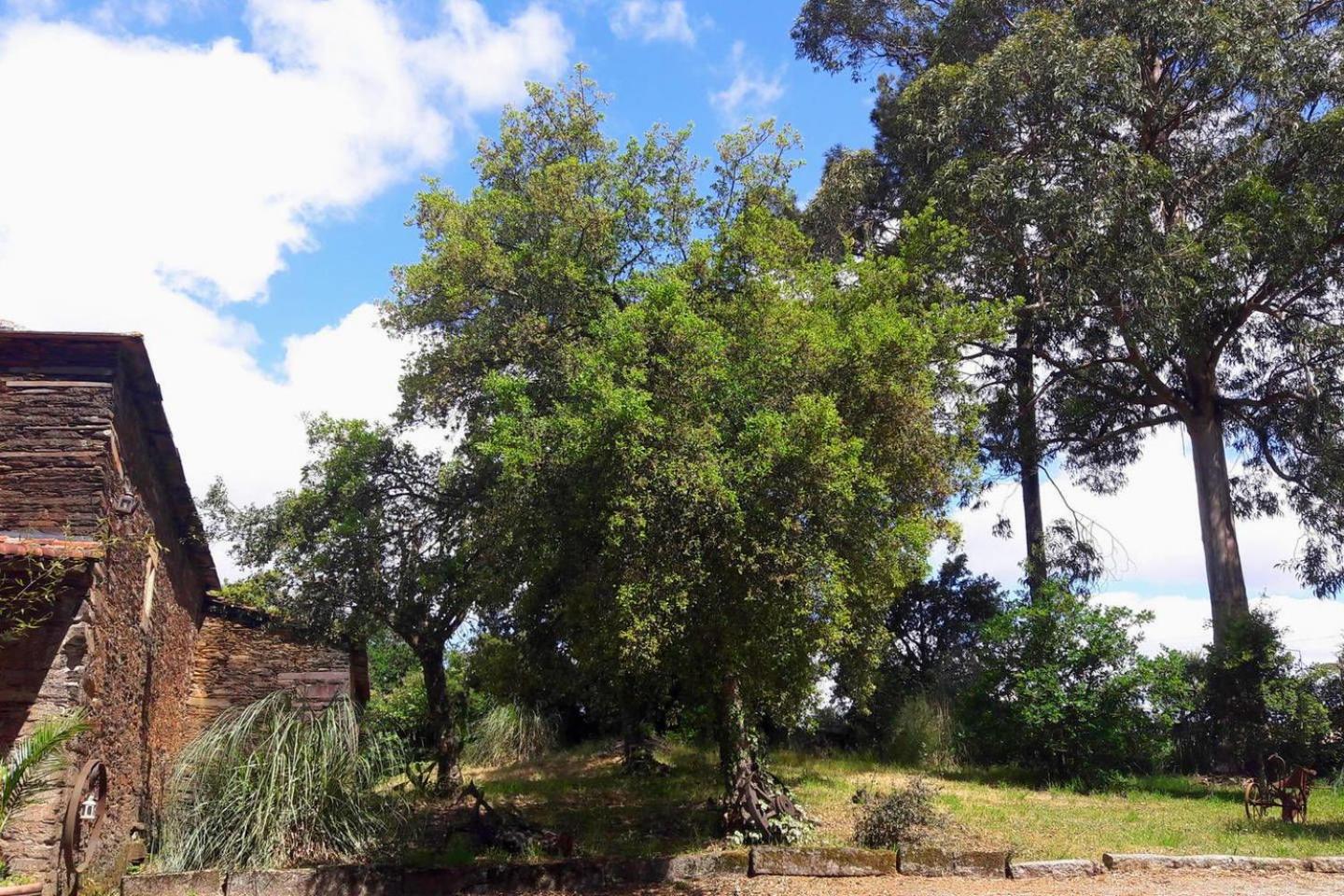 Porto Natura House