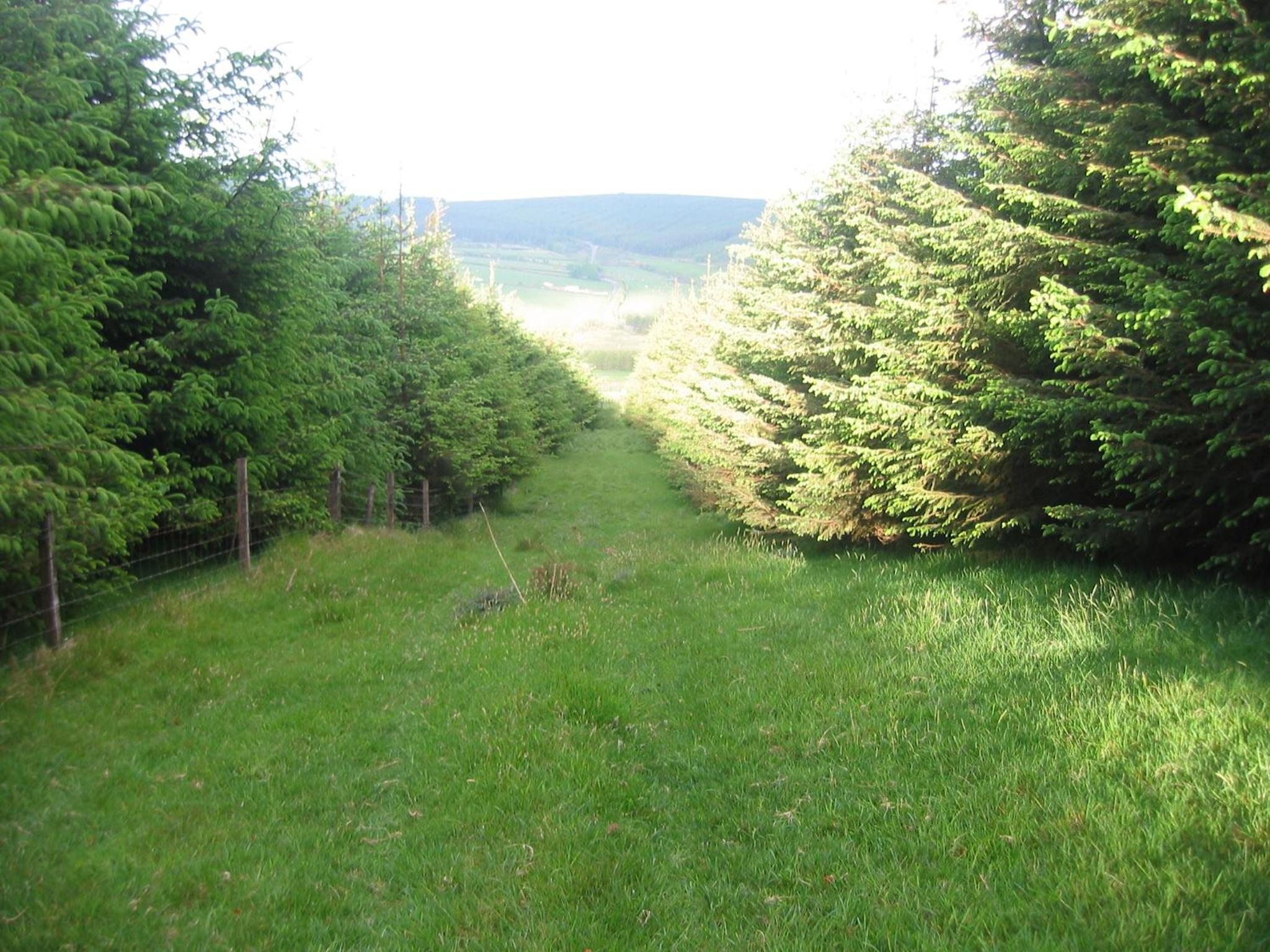 The Dales view 4