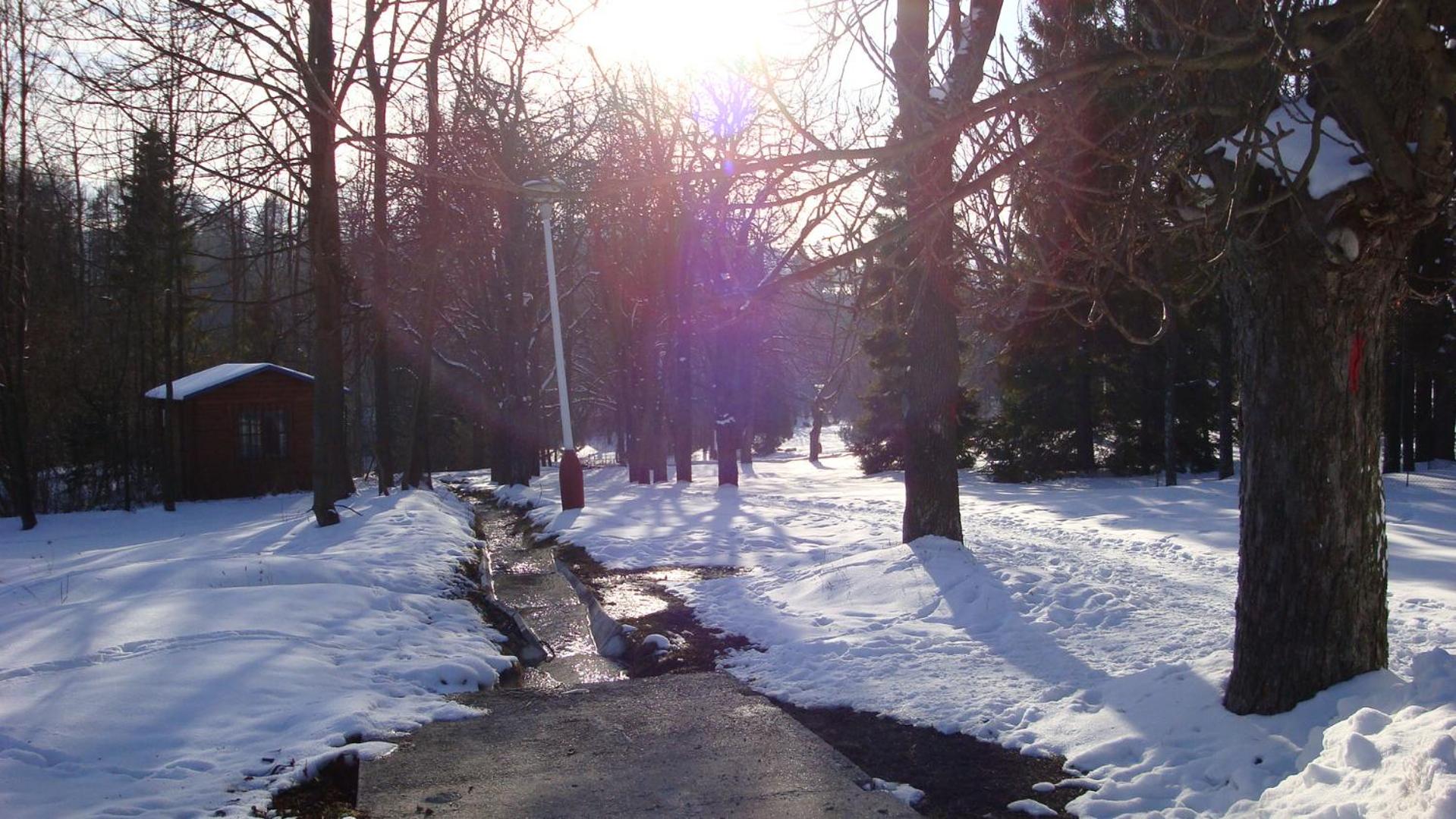 Photo 23