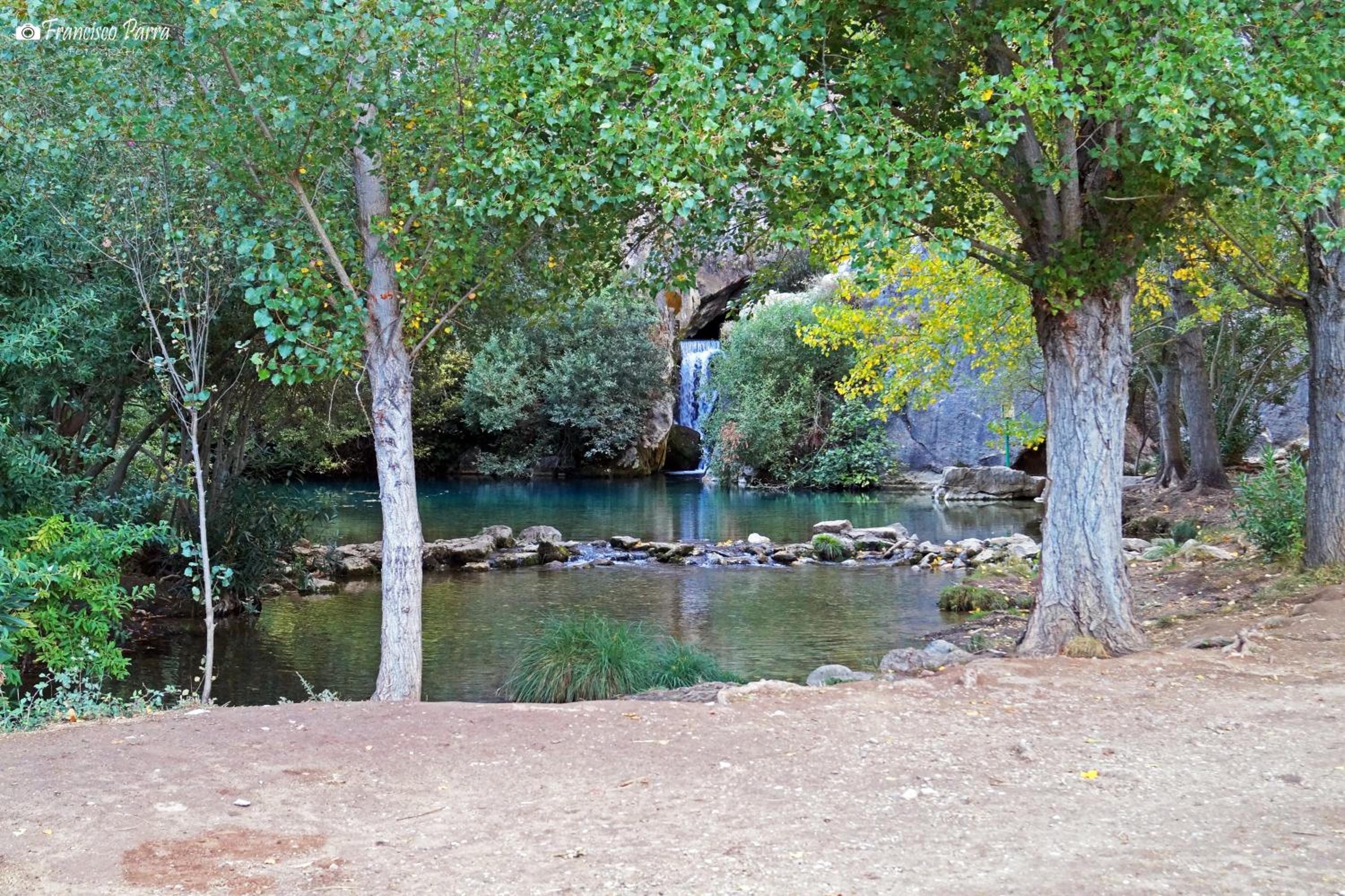 Photo 42