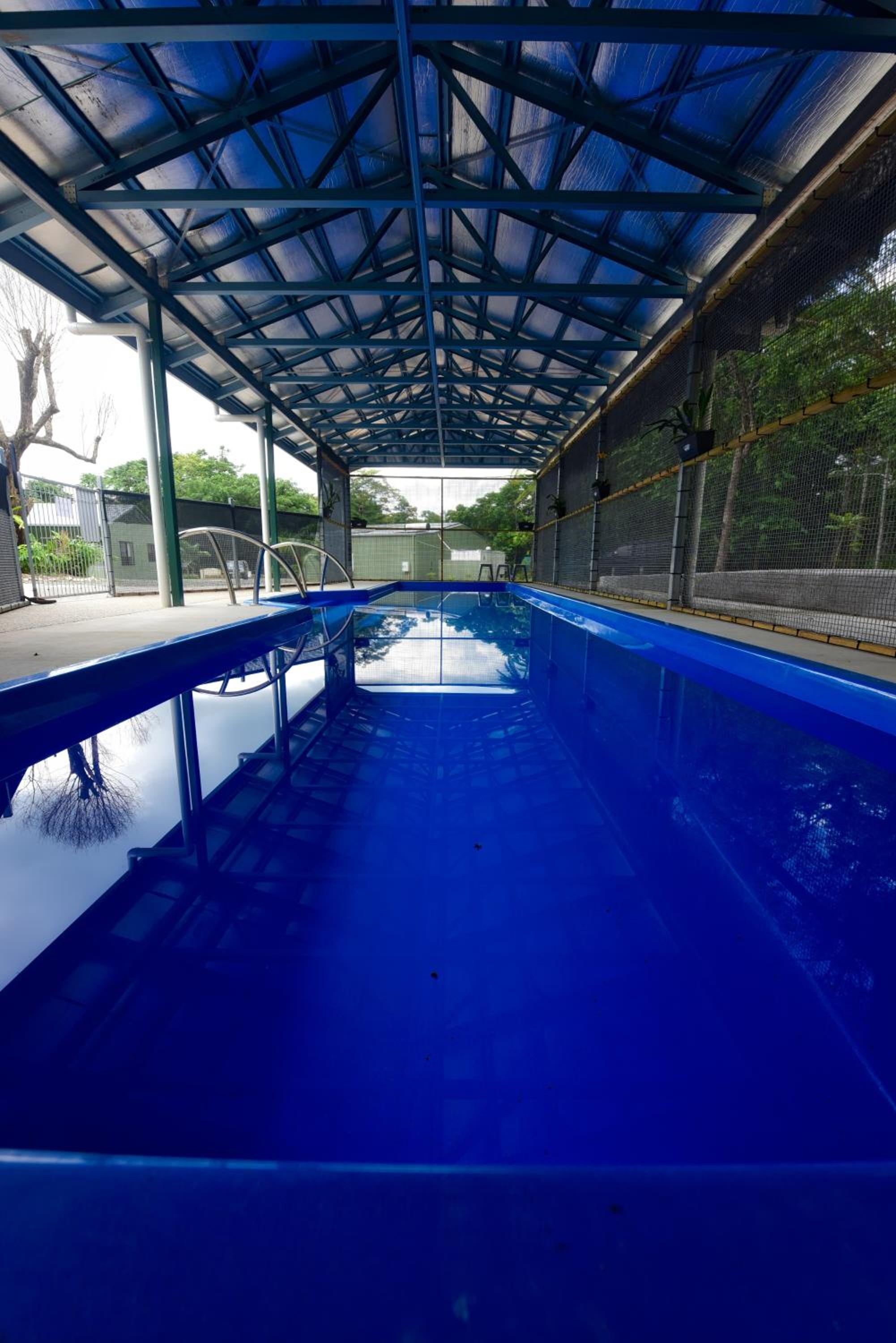 Daintree Peaks ECO Stays