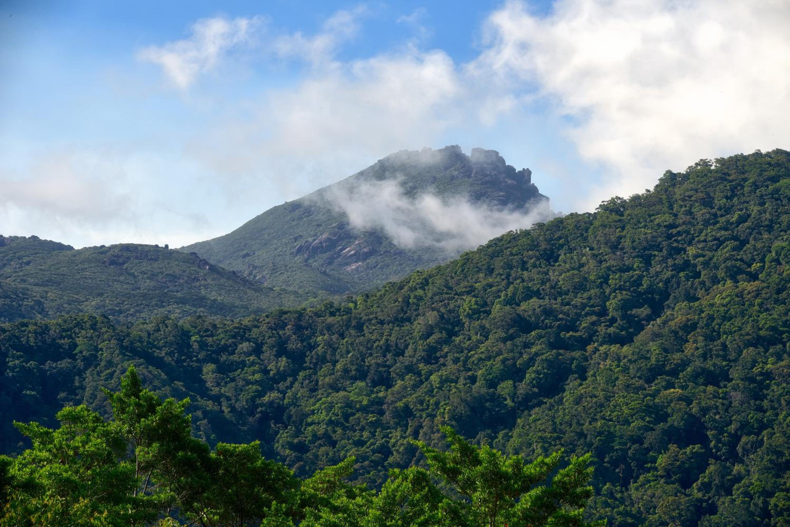 Daintree Peaks ECO Stays