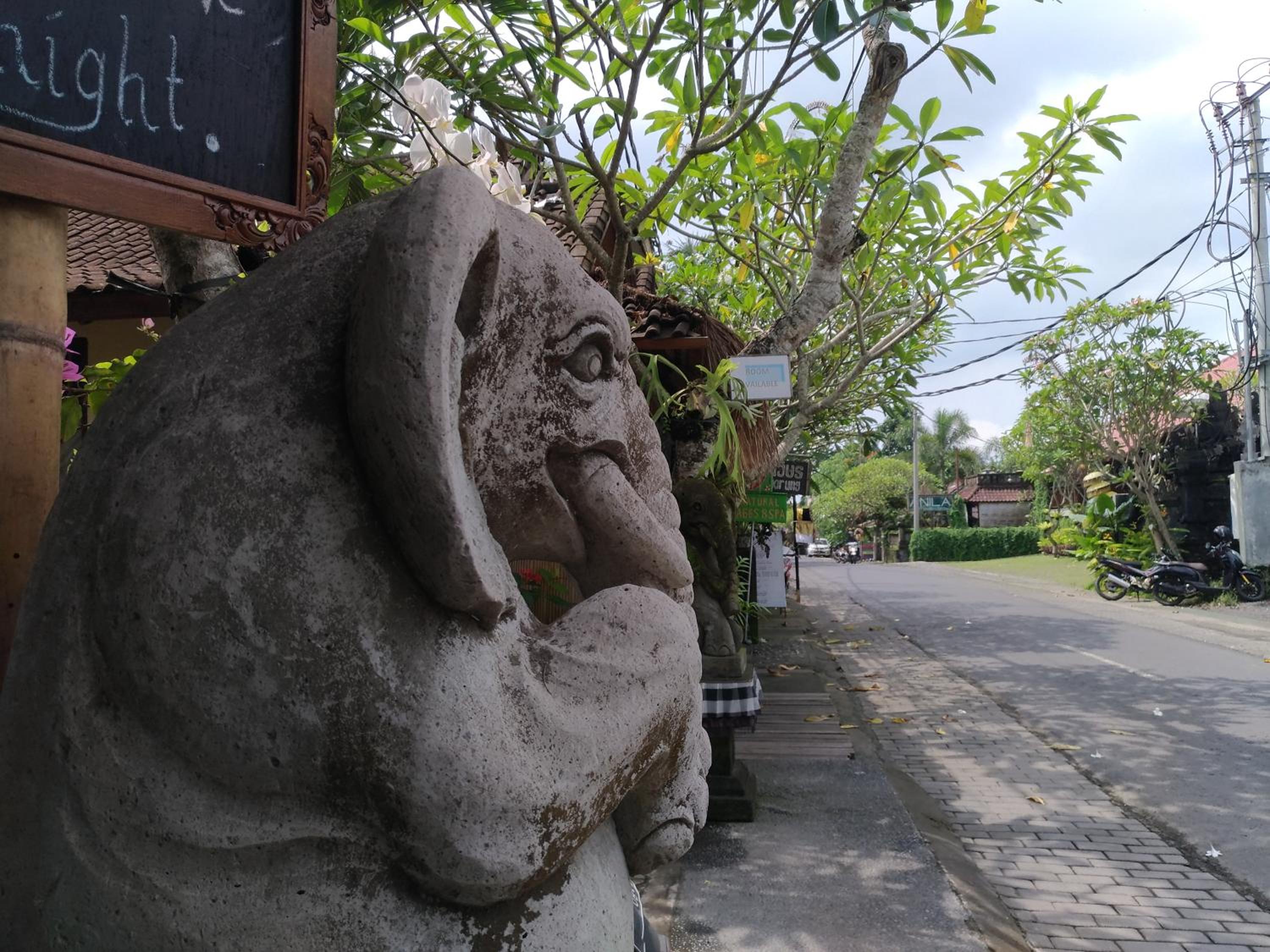 Mekenyem House Ubud view 5