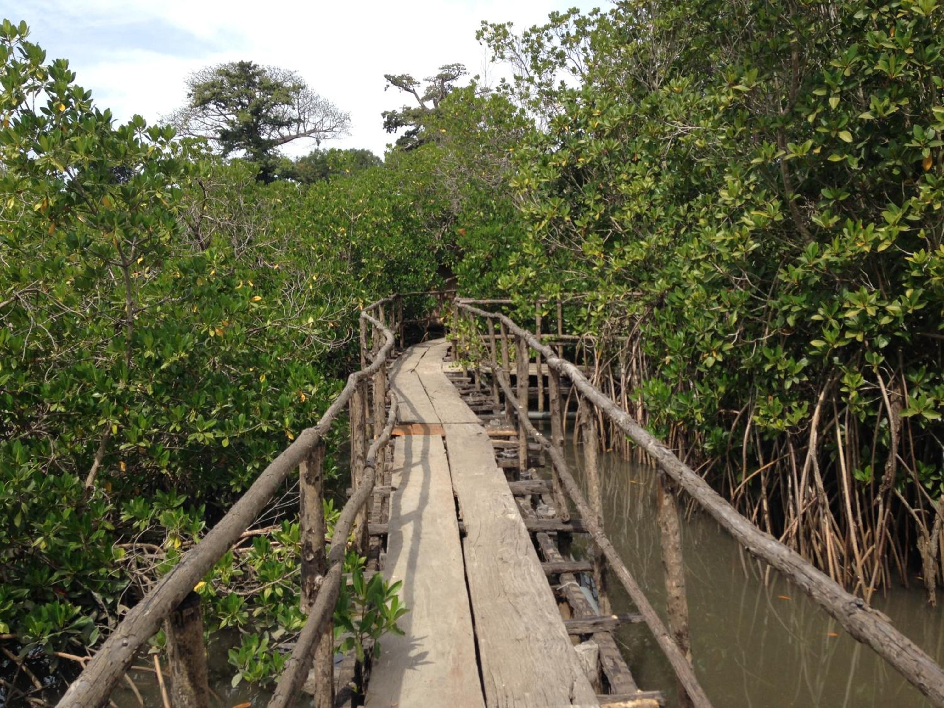 Bintang Bolong Lodge