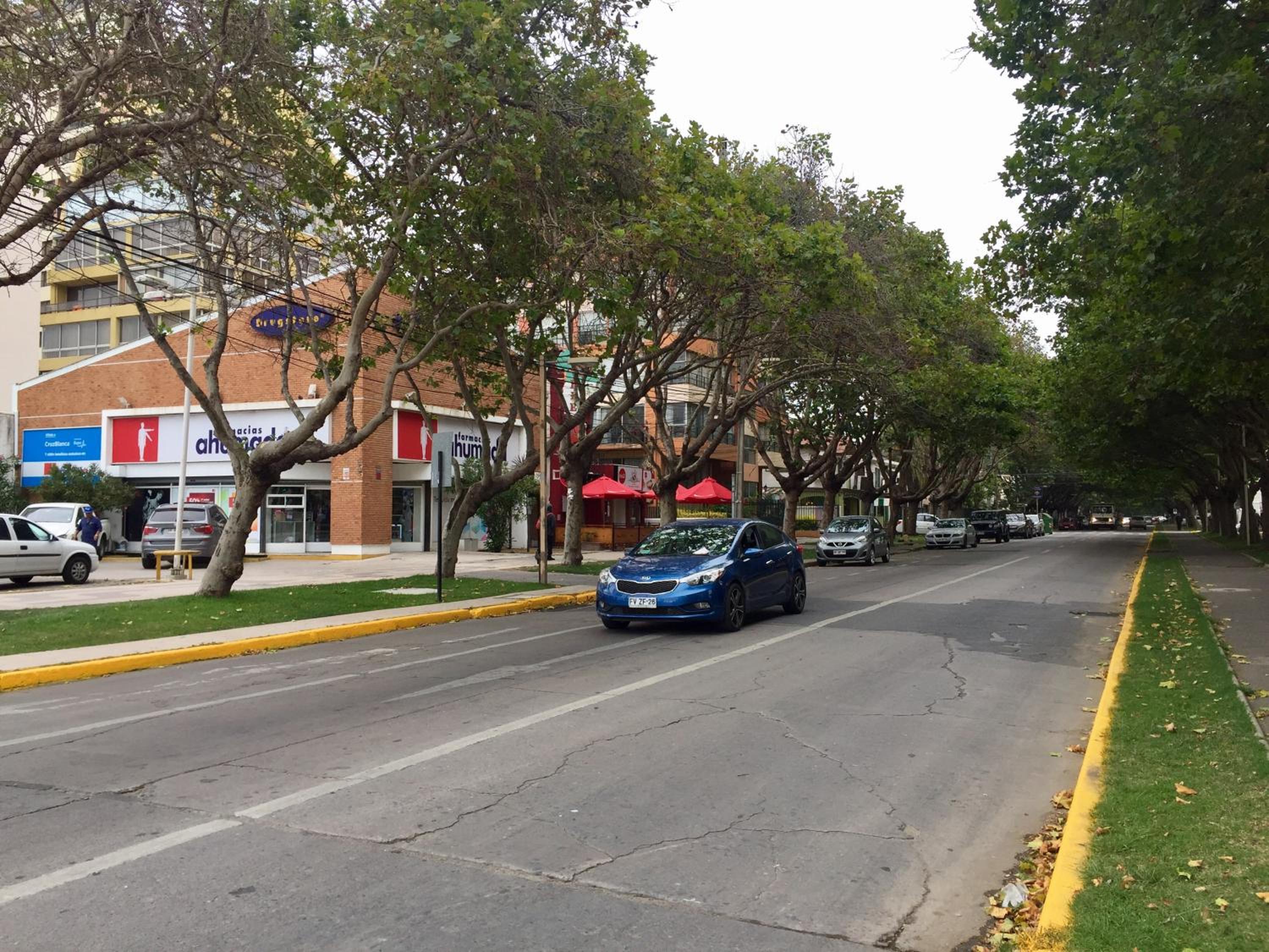 Departamento 8 Norte, Torre del Mar