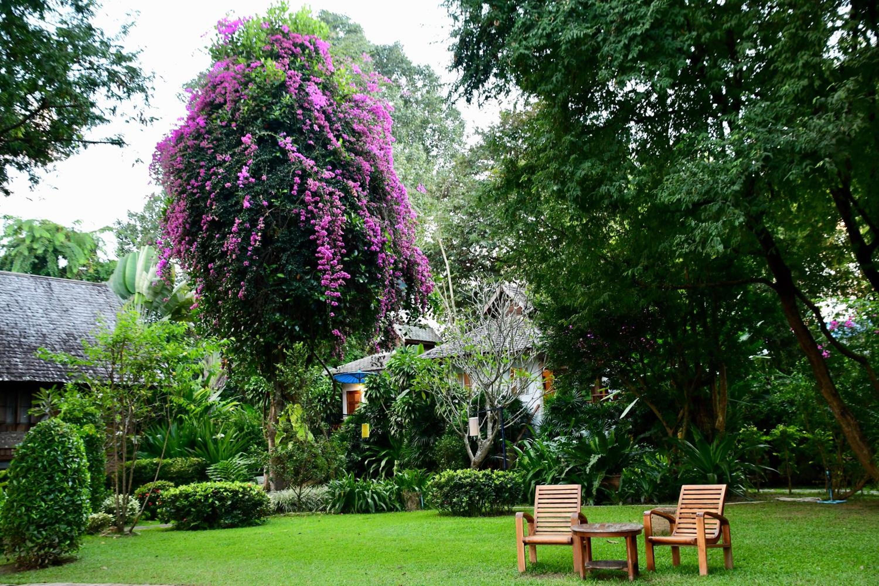RimPai Cottage