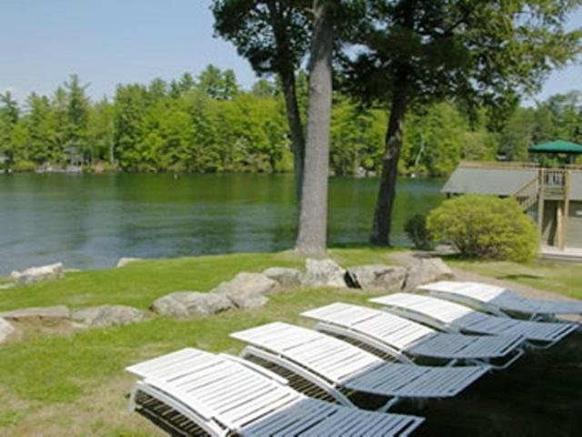 Oliver Lodge