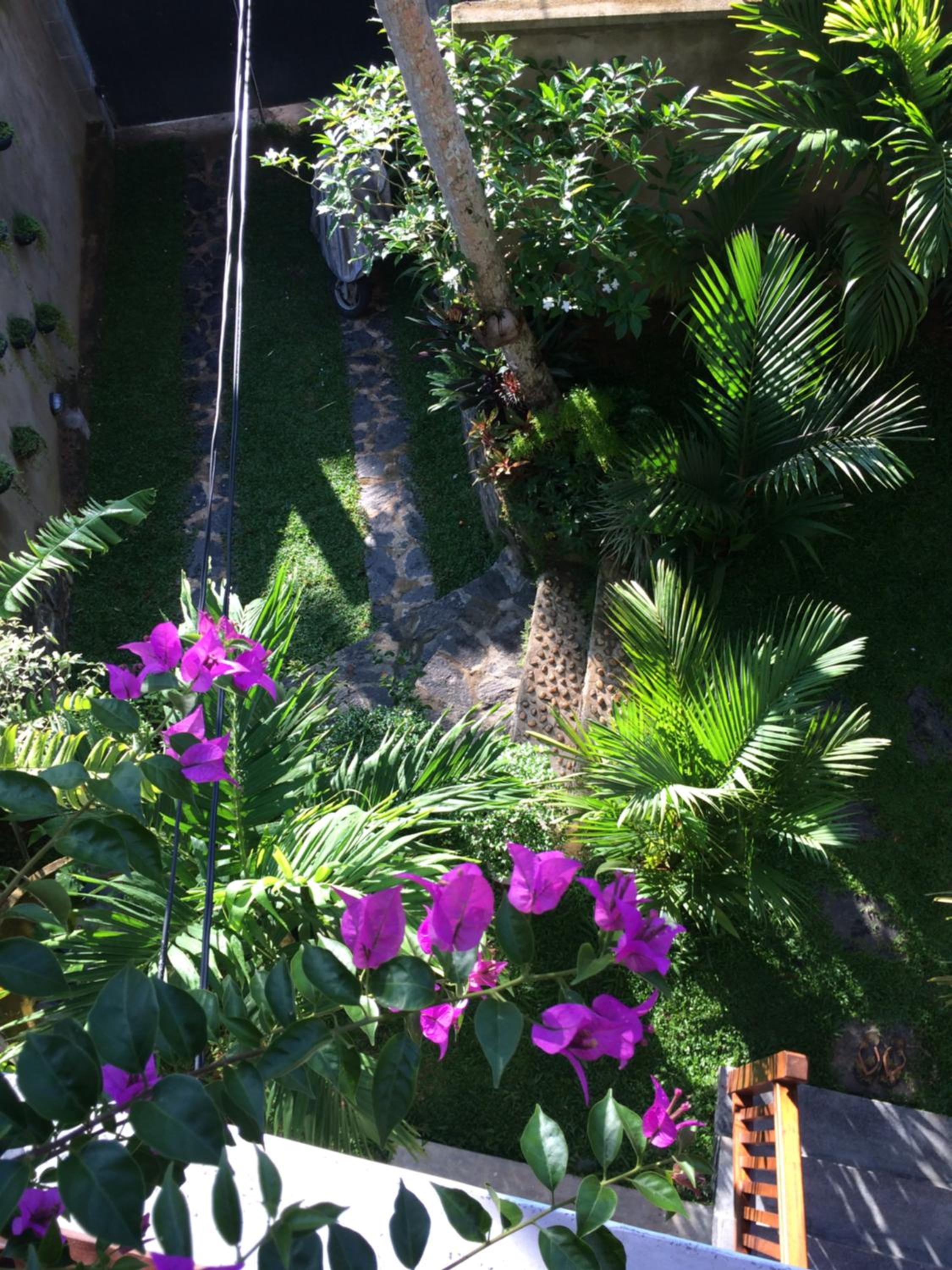 Bouganvilla House