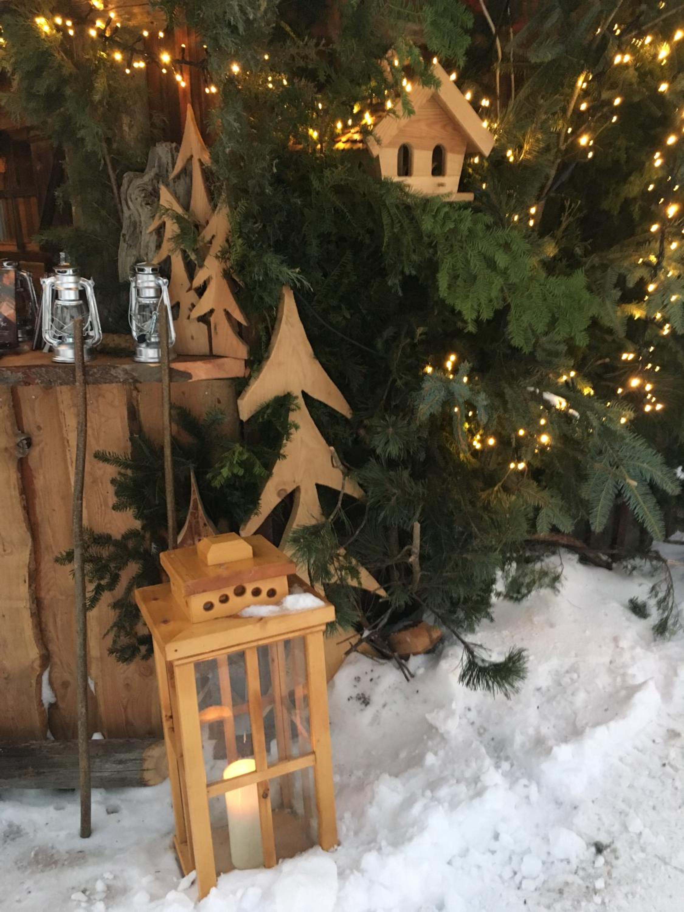 Pension & Appartements Ronacherhof -Mountain Hideaway Slopeside
