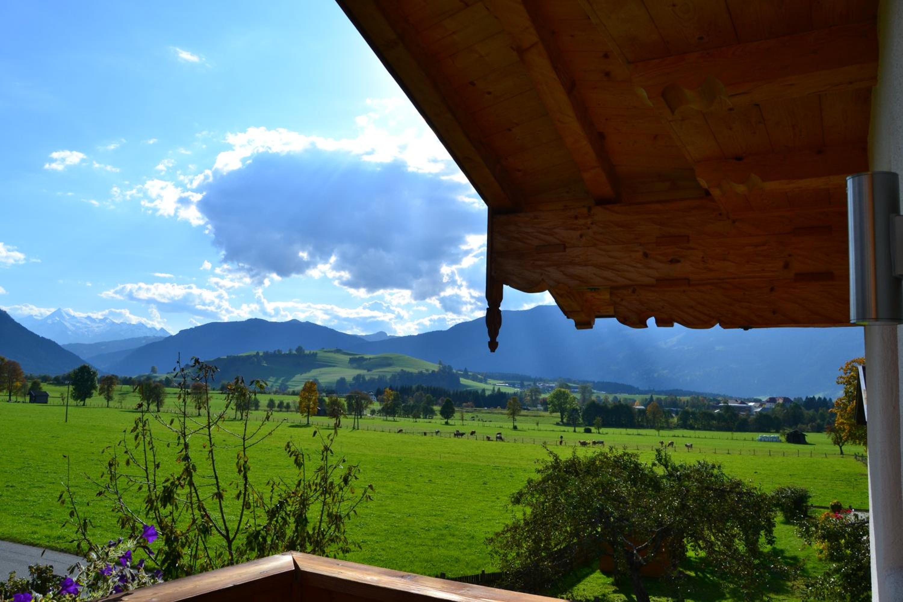 Appartement Herzog view 5
