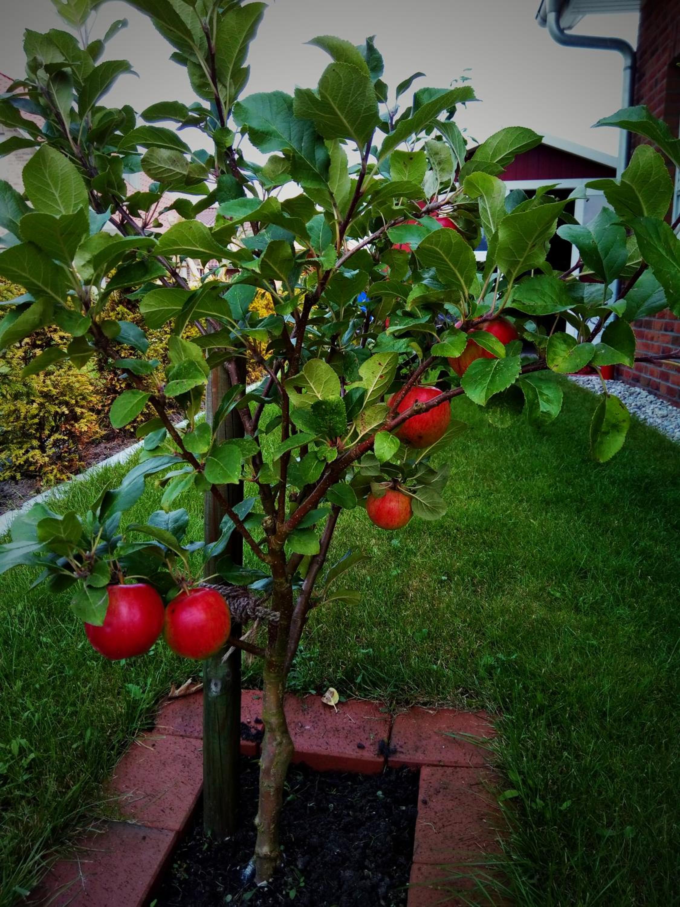 Photo 32