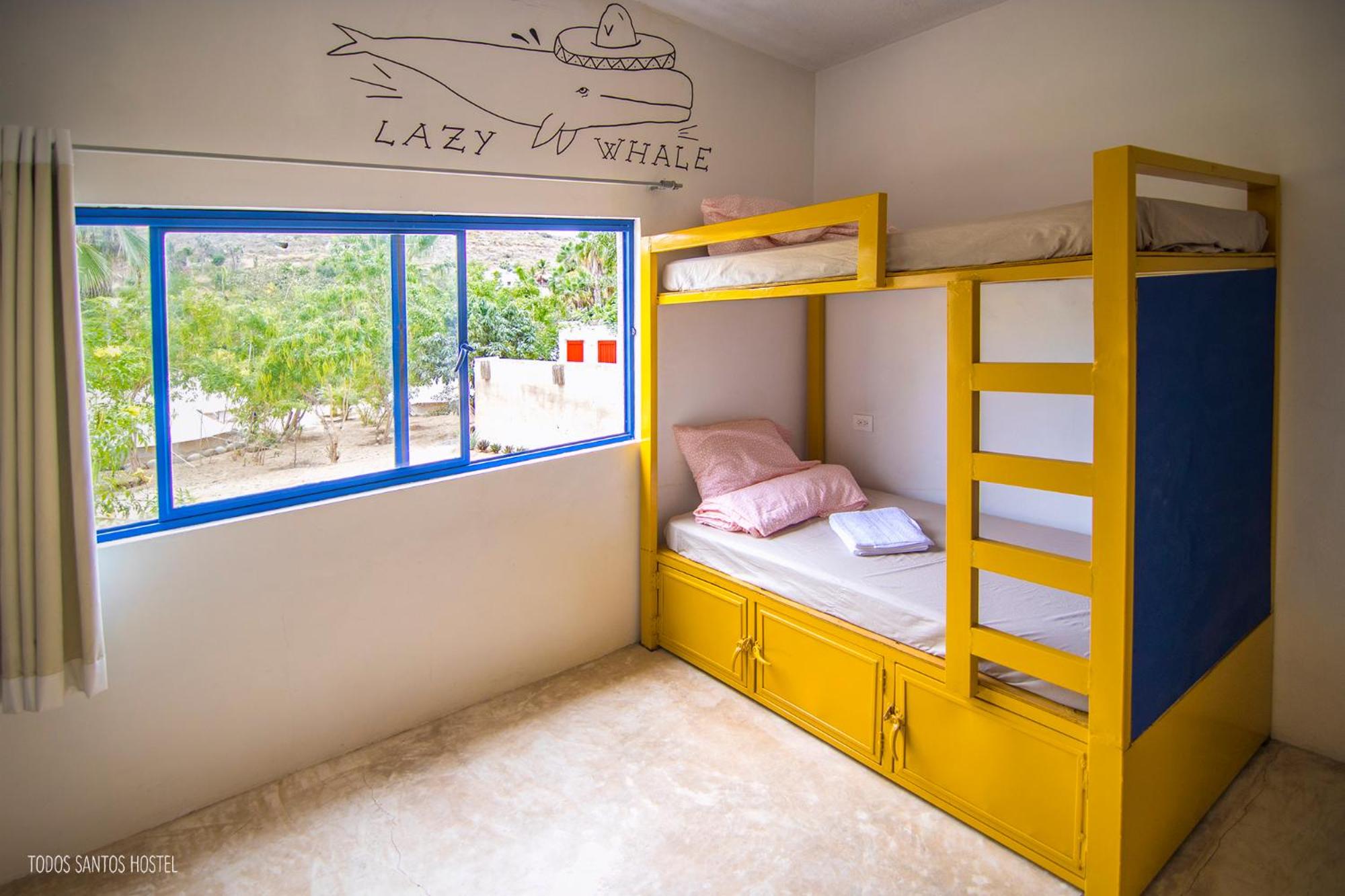 Todos Santos Hostel super fast and stable satellite wifi view 5