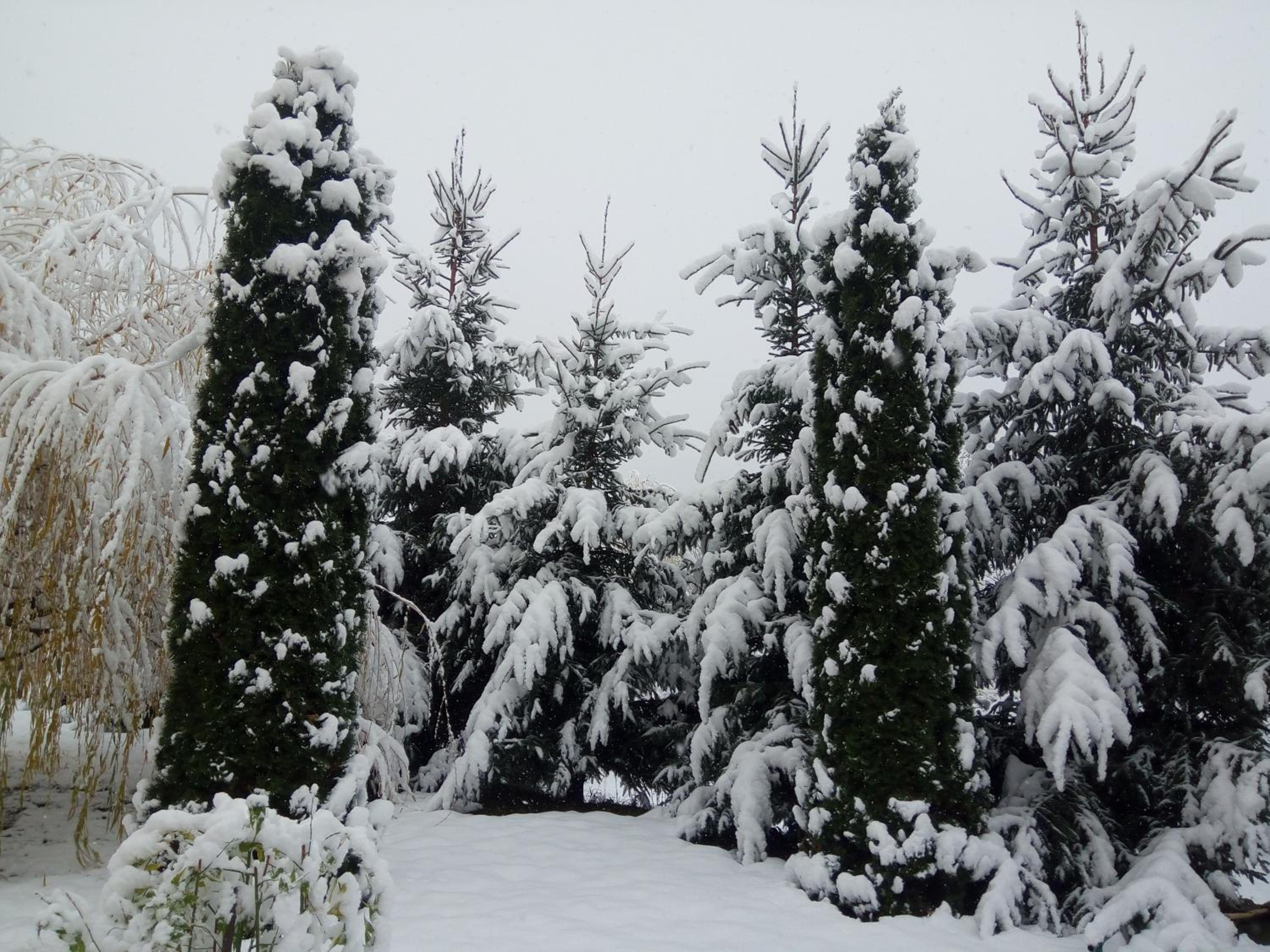 Photo 40