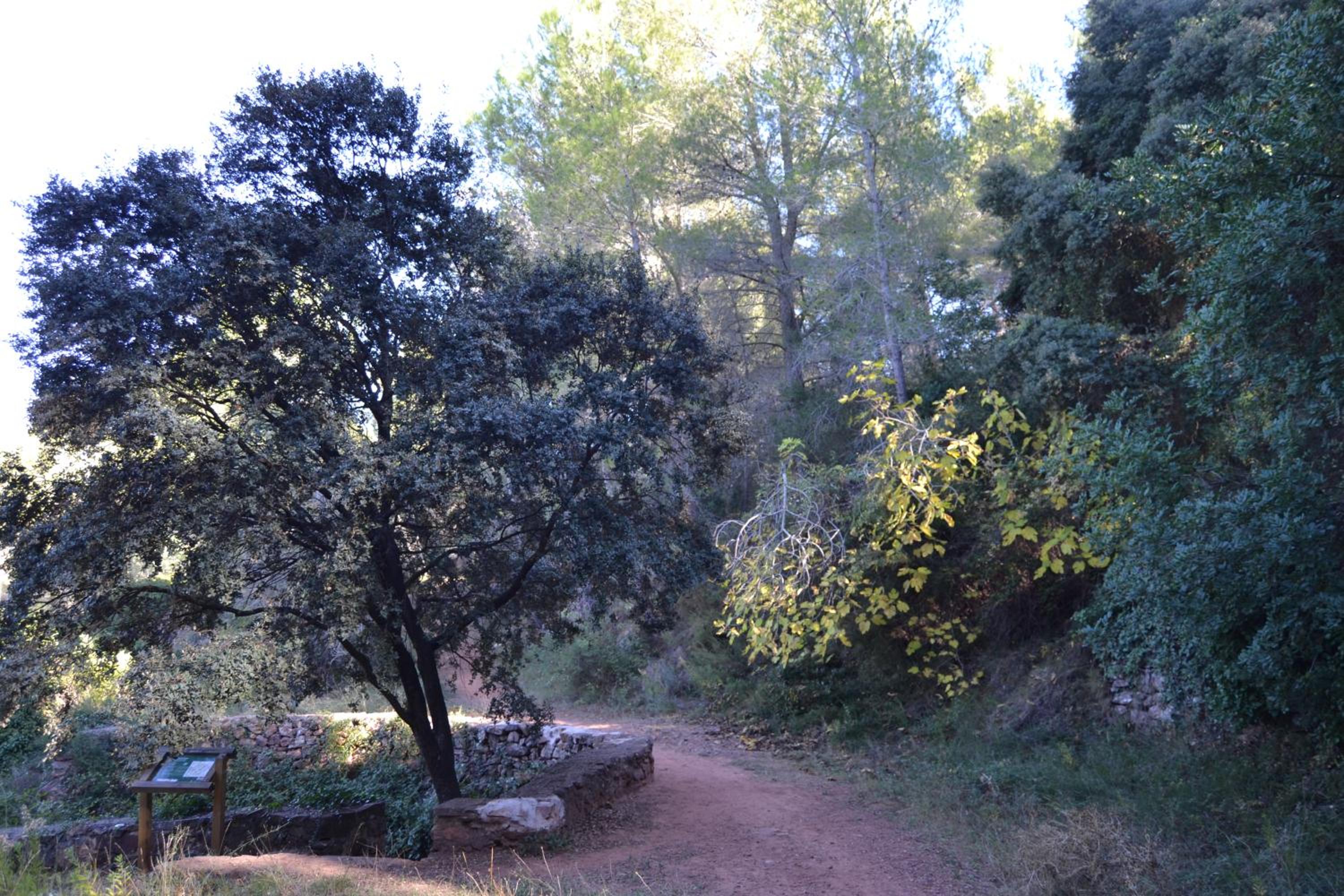 La Coveta Rural en Vilafames