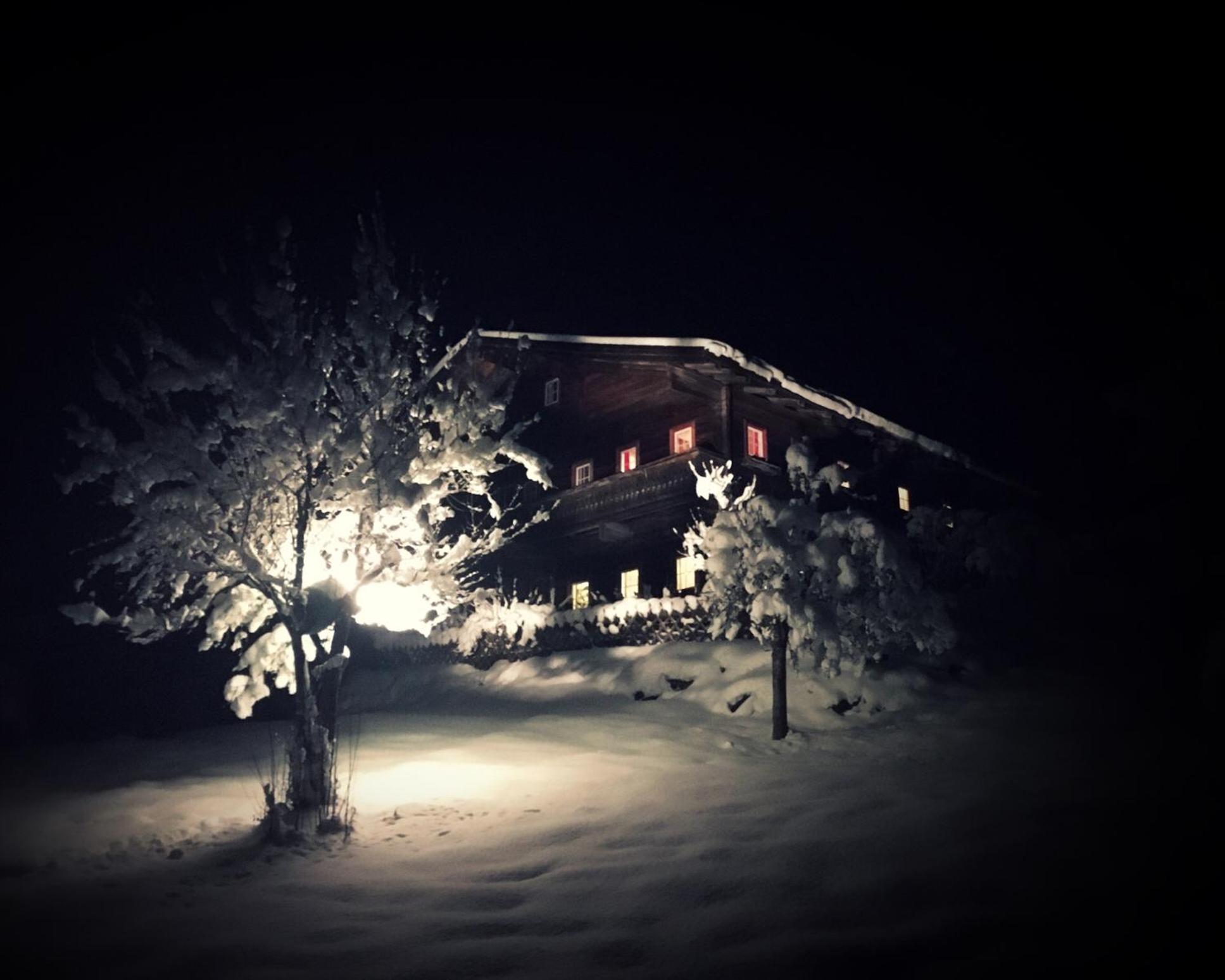 Photo 42