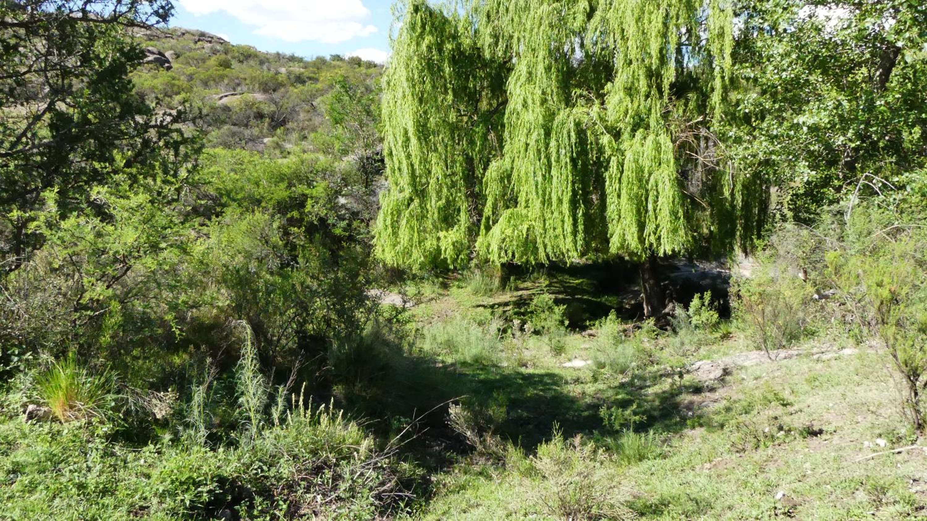 Cabañas Pampa