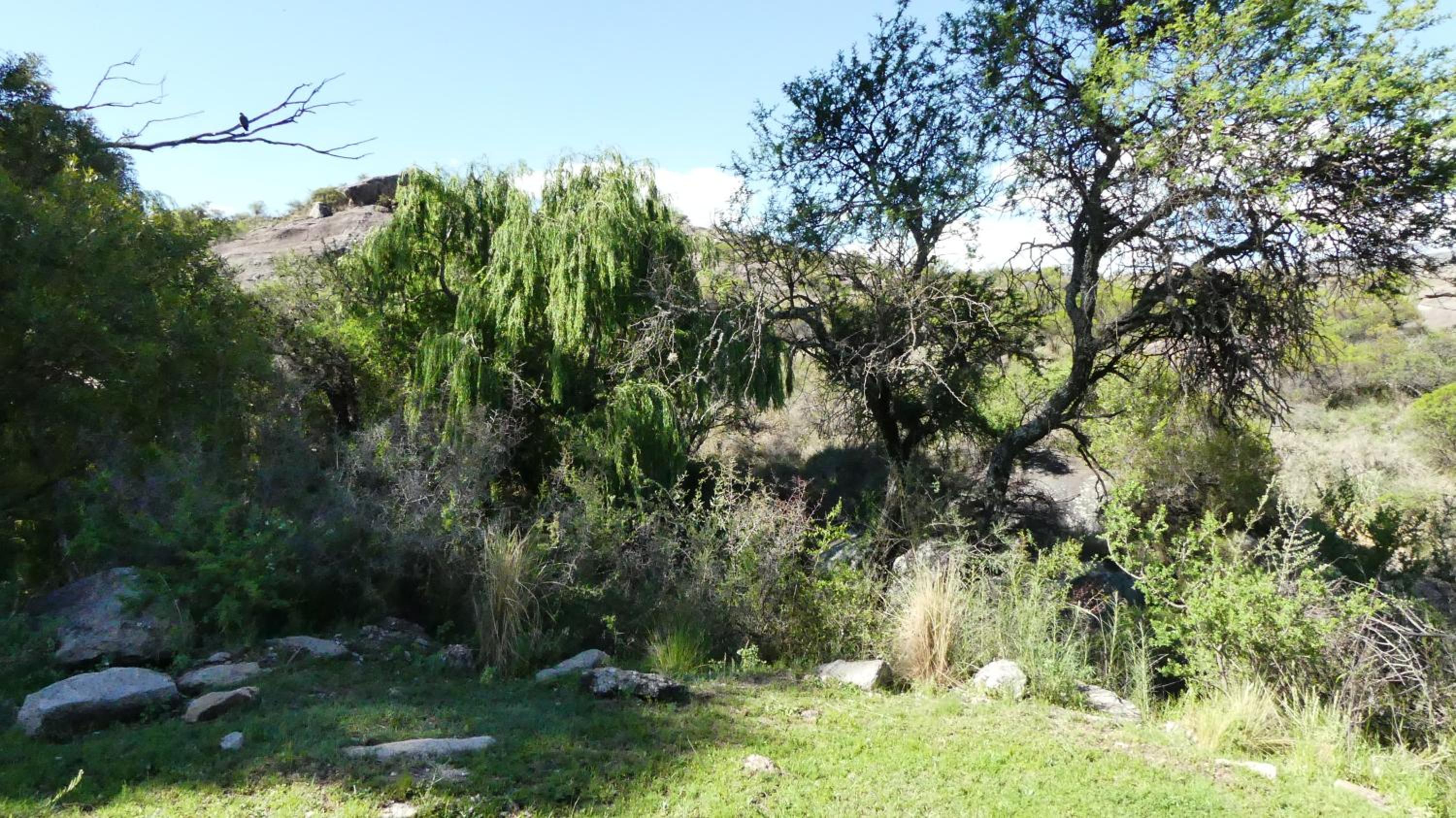 Cabañas Pampa