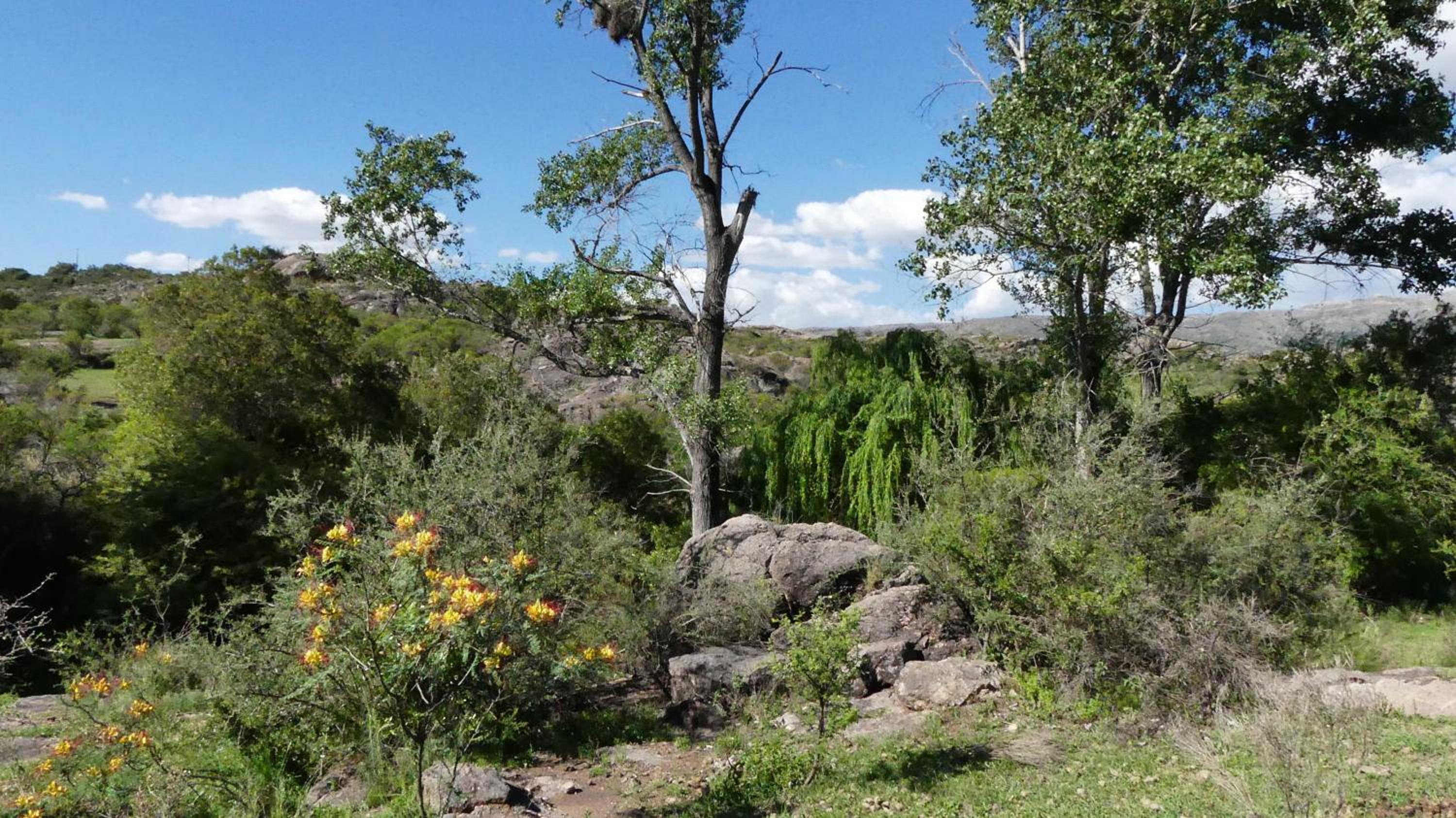 Cabañas Pampa