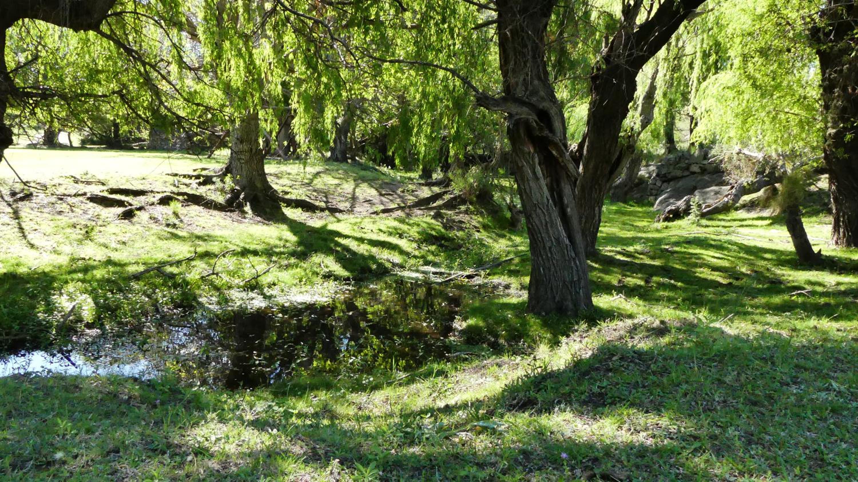Cabañas Pampa