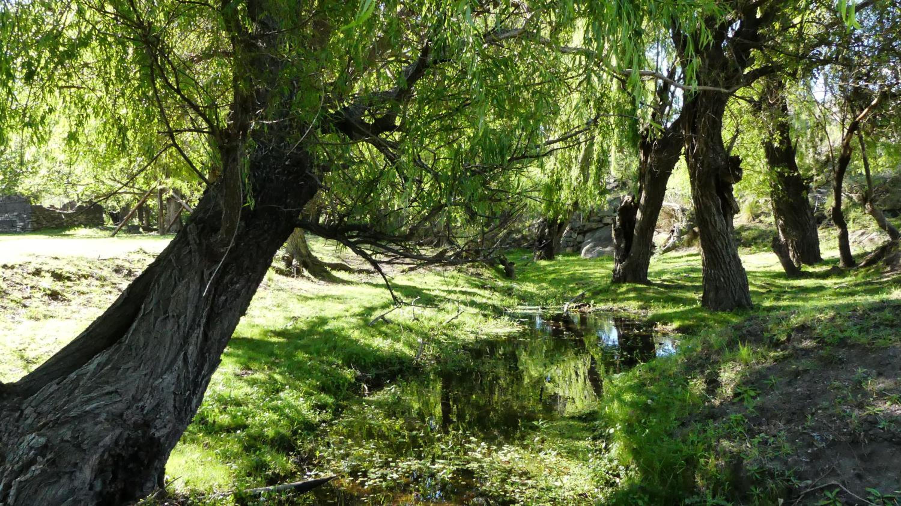 Cabañas Pampa