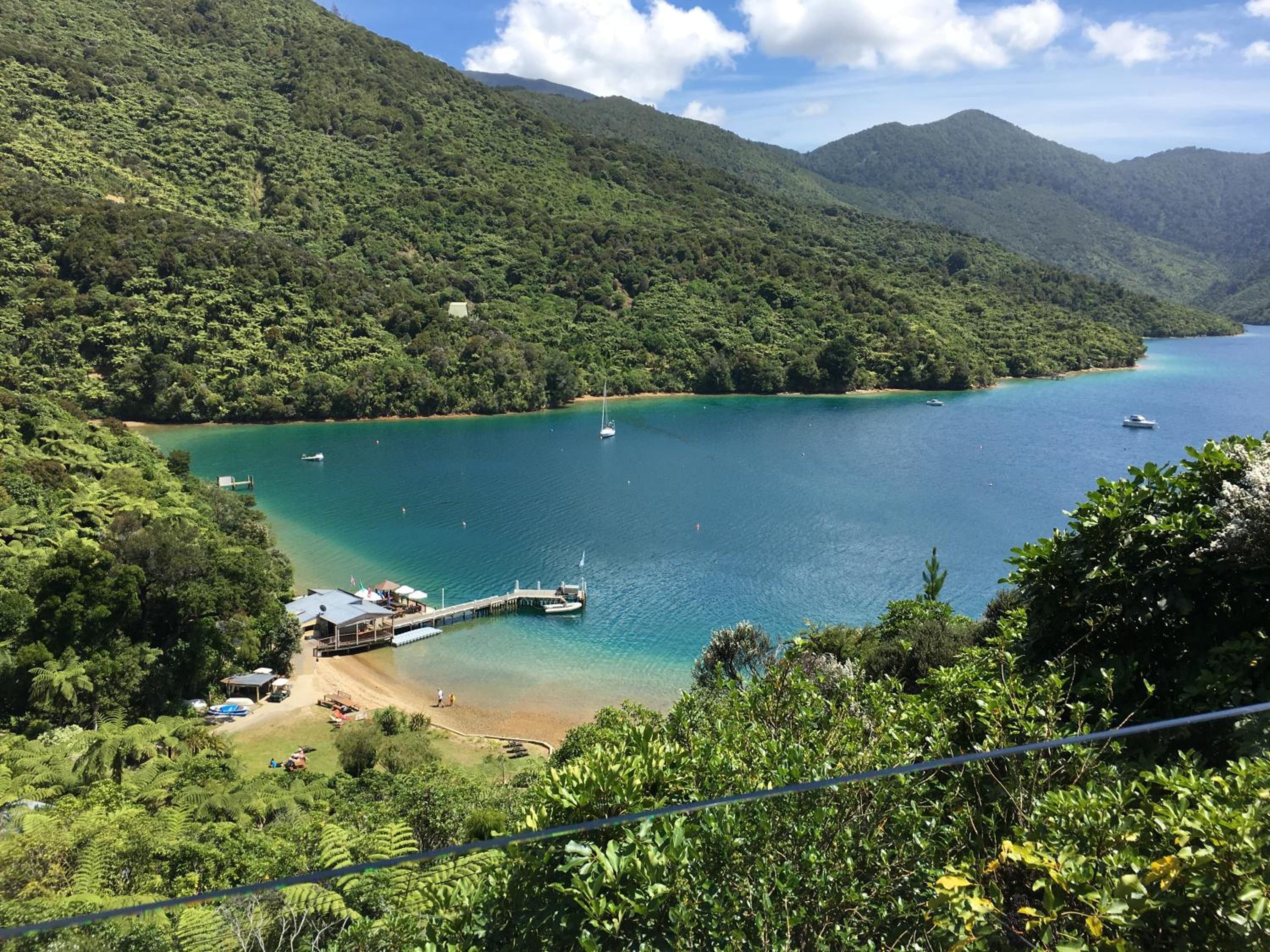 Punga Cove Resort 32