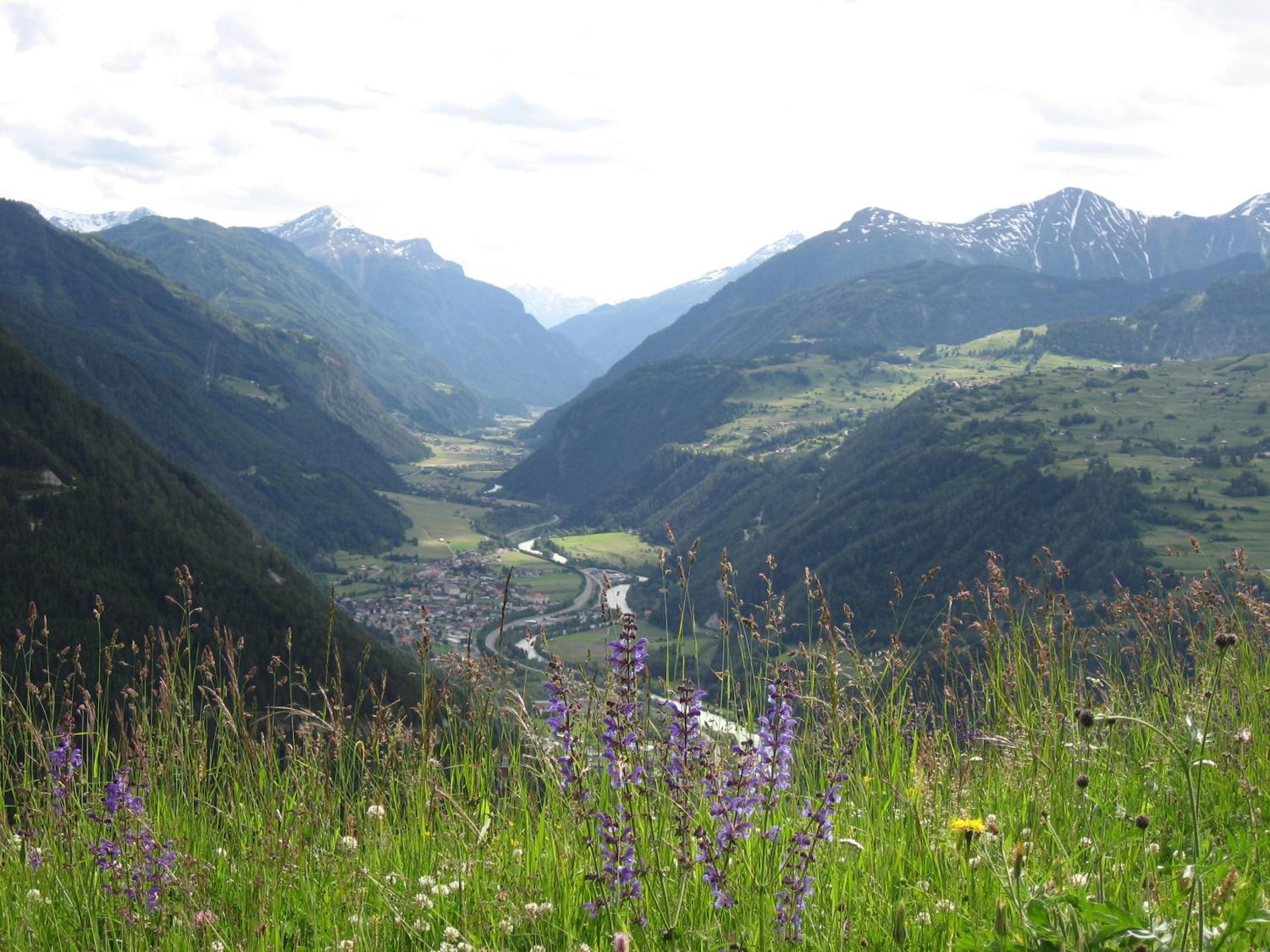 Apart Panoramablick