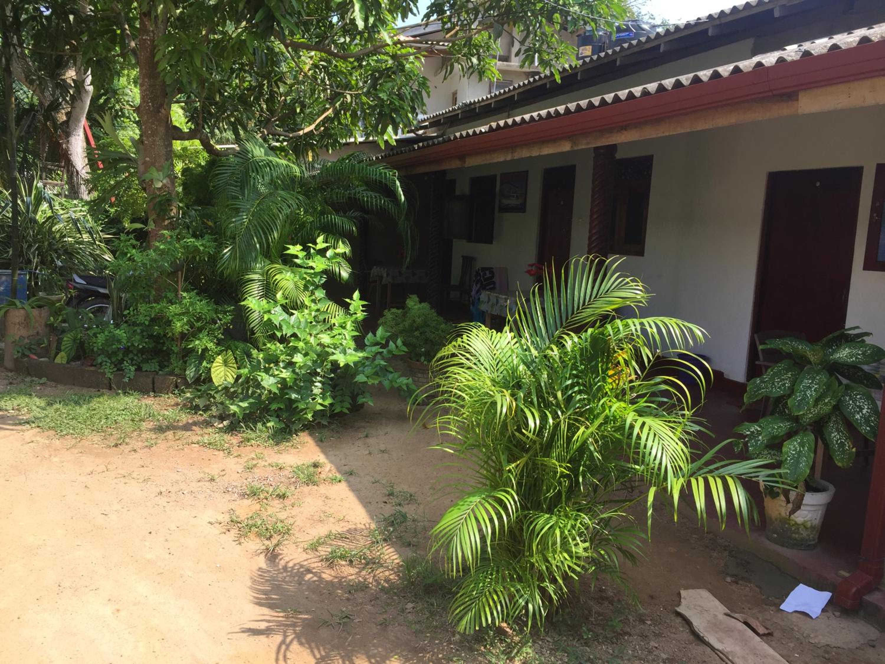 Margosa Guesthouse view 4