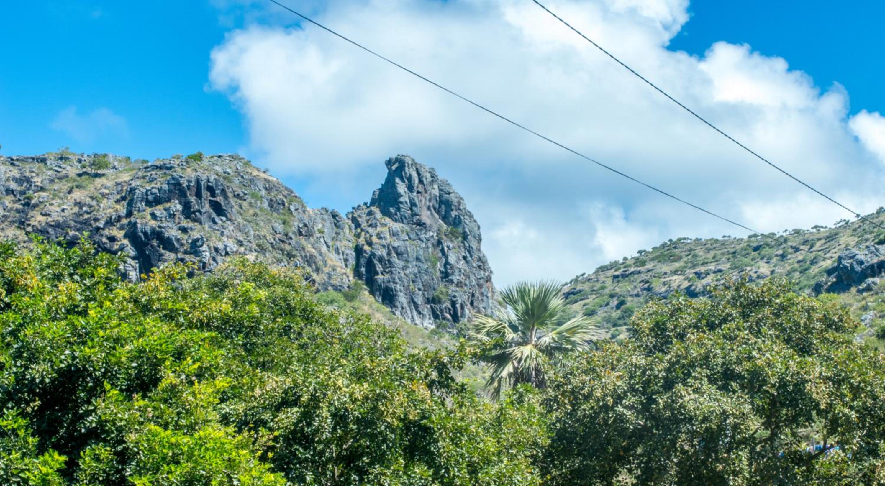 La Villa Allamanda
