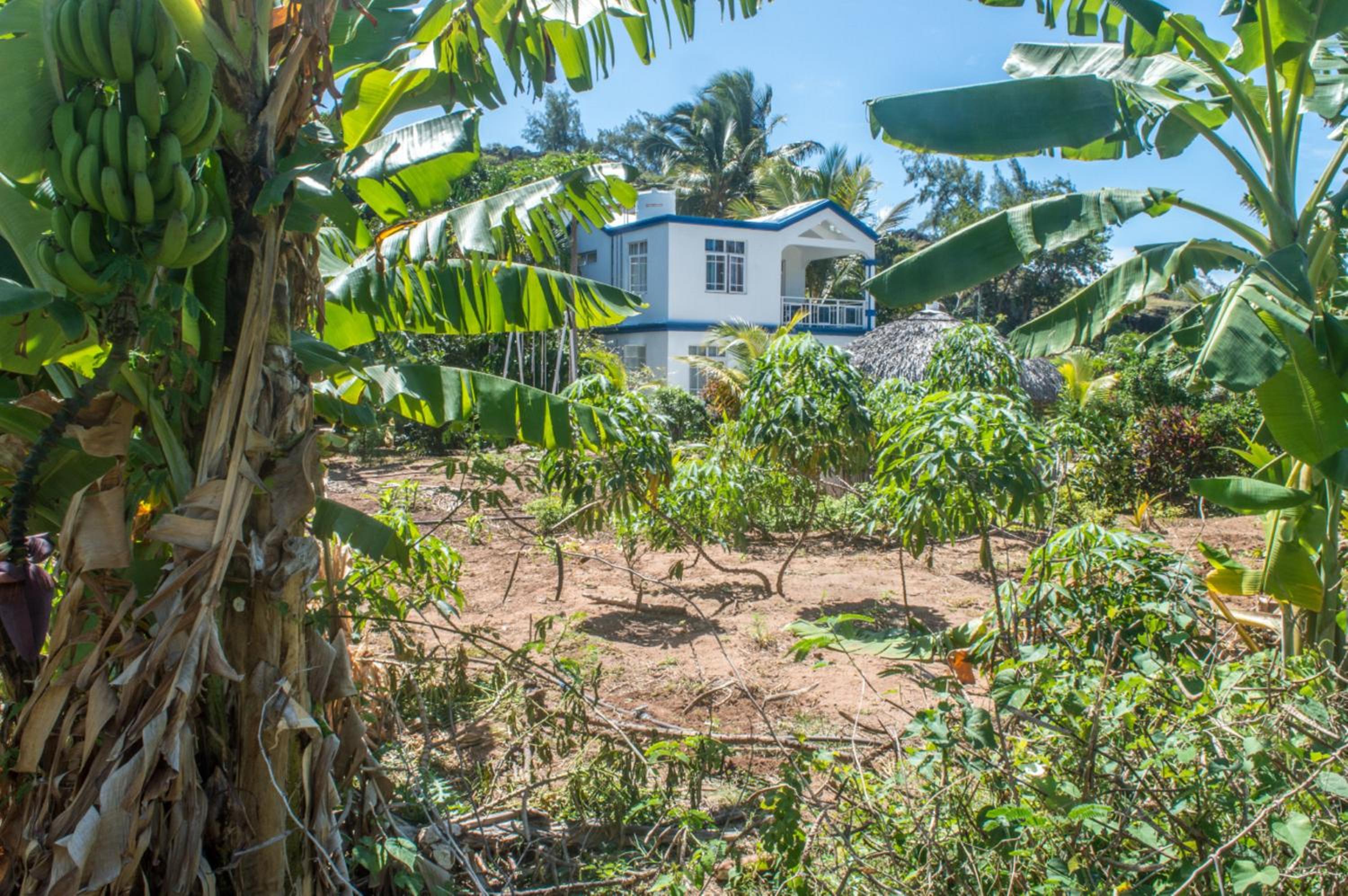 La Villa Allamanda