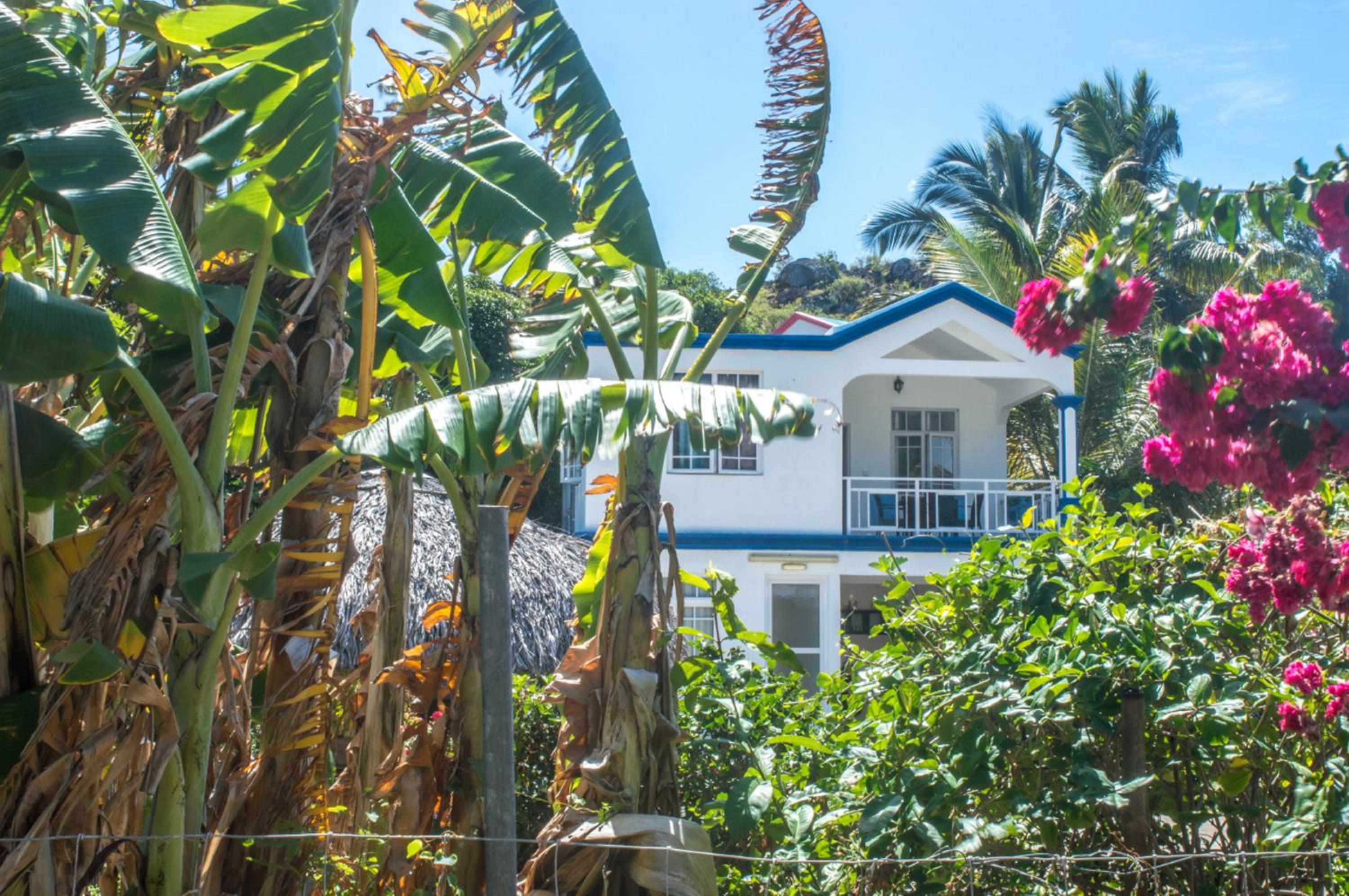 La Villa Allamanda
