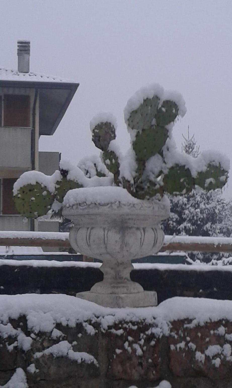 CasaVarone photo 3