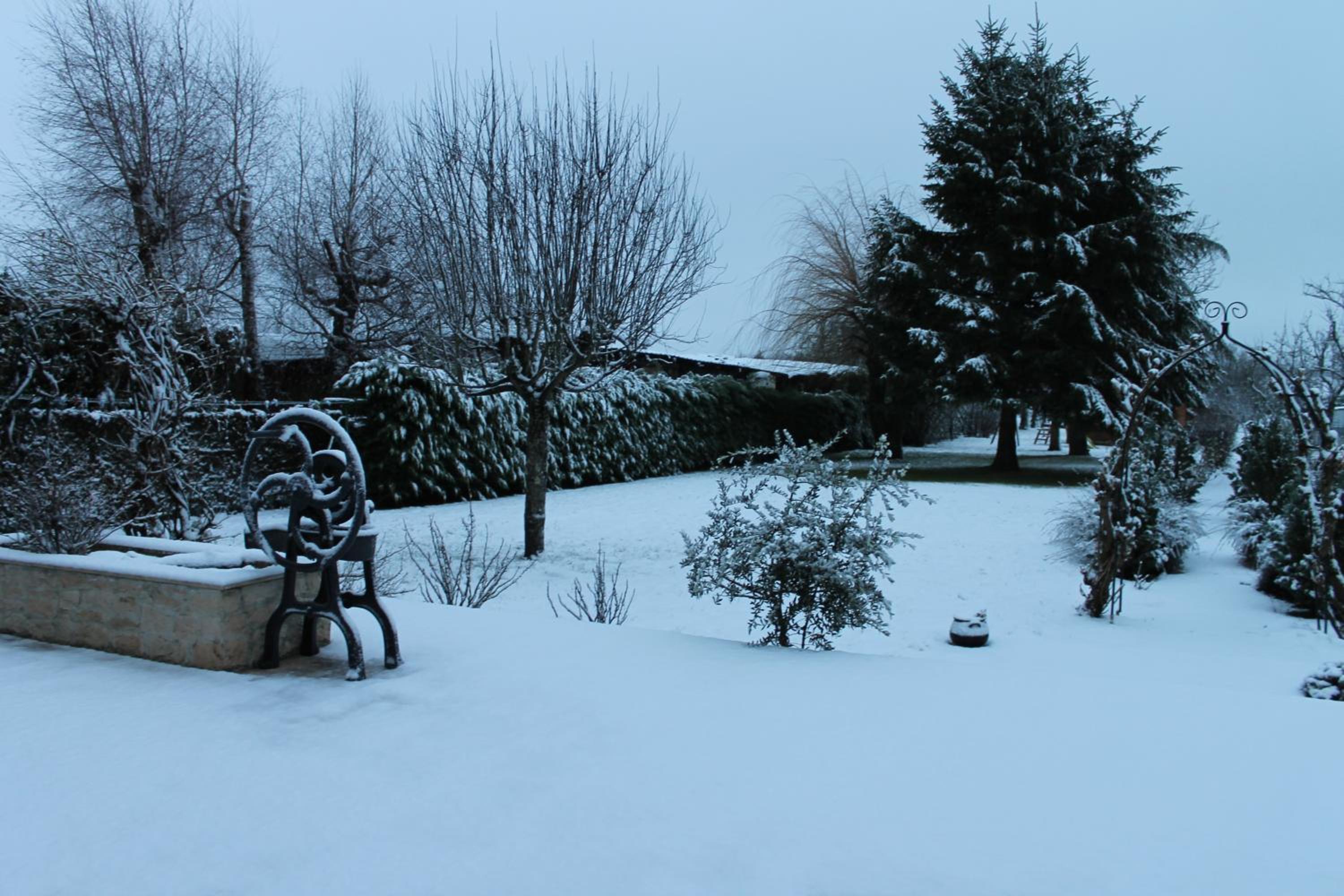 Photo 14