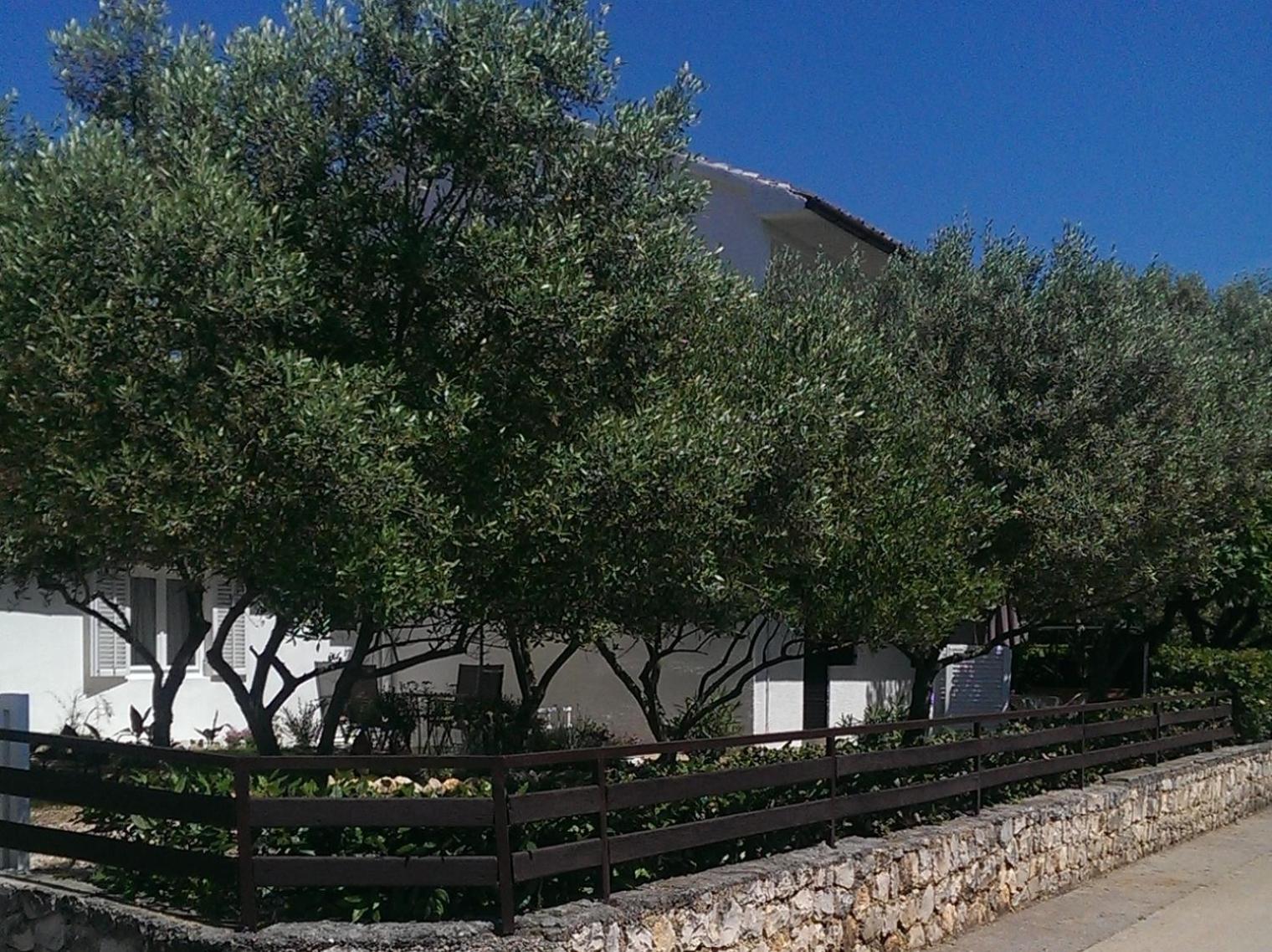 Photo 27