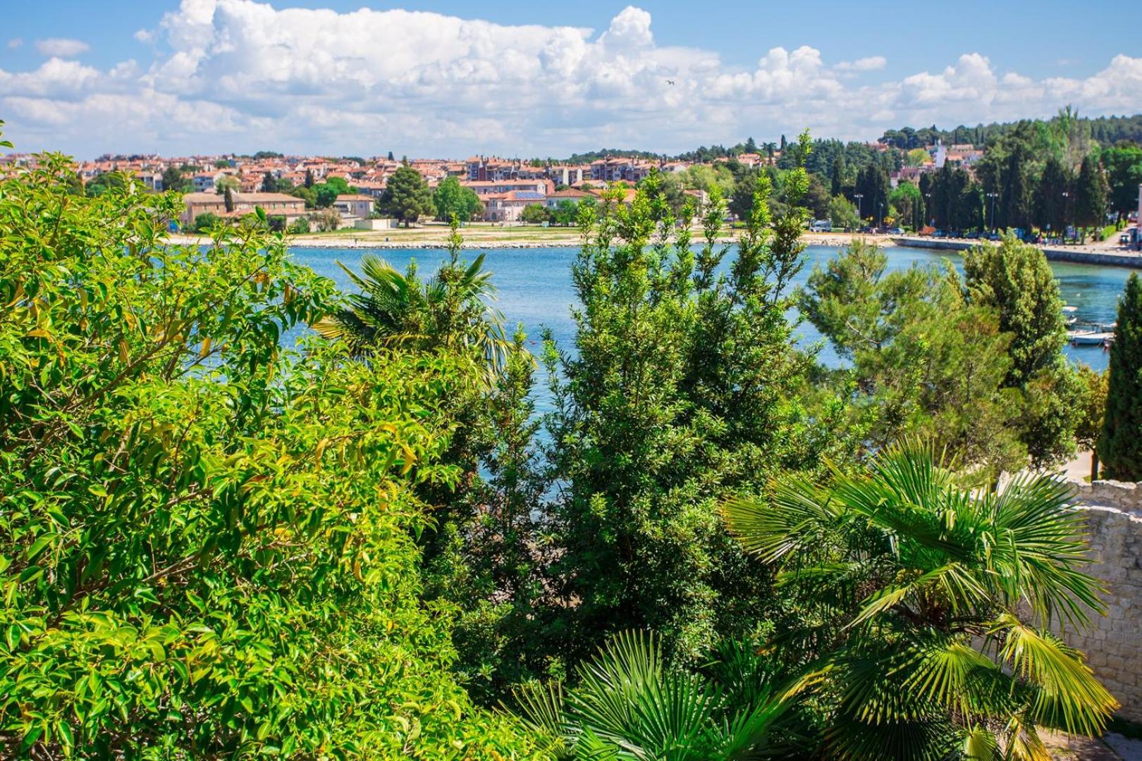 Old Town apartment - Property Image 13