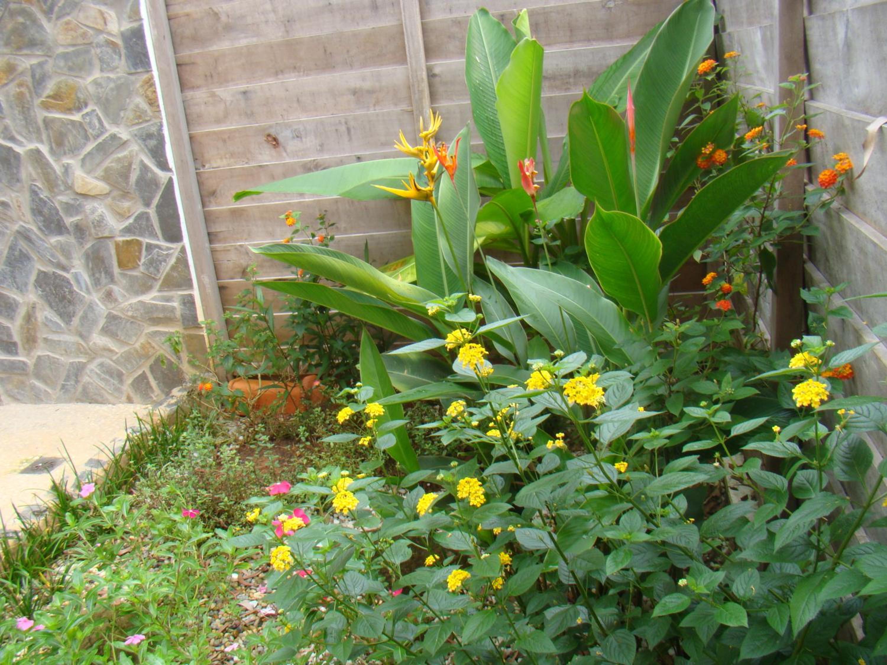 Photo 53