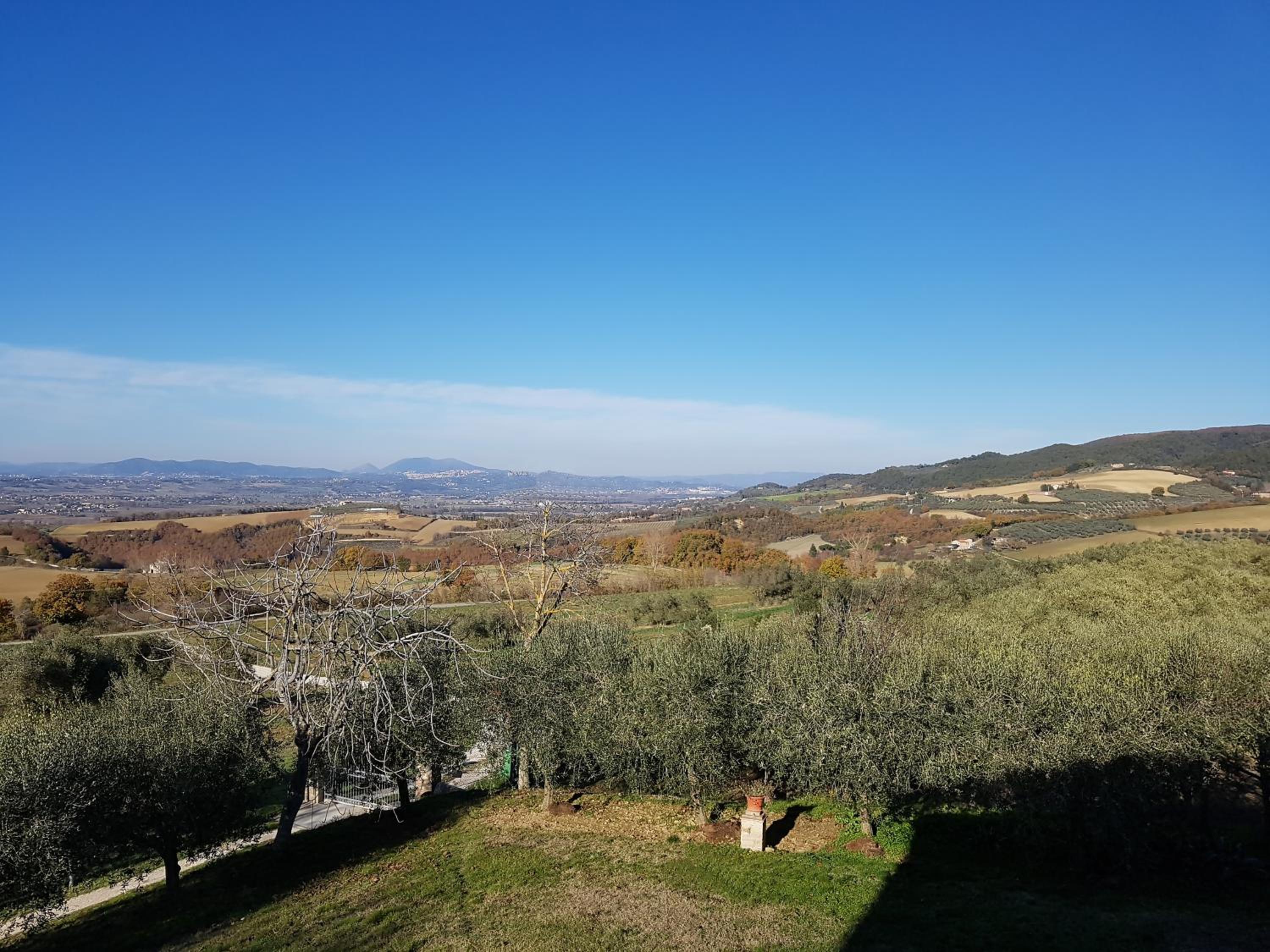 La Collina