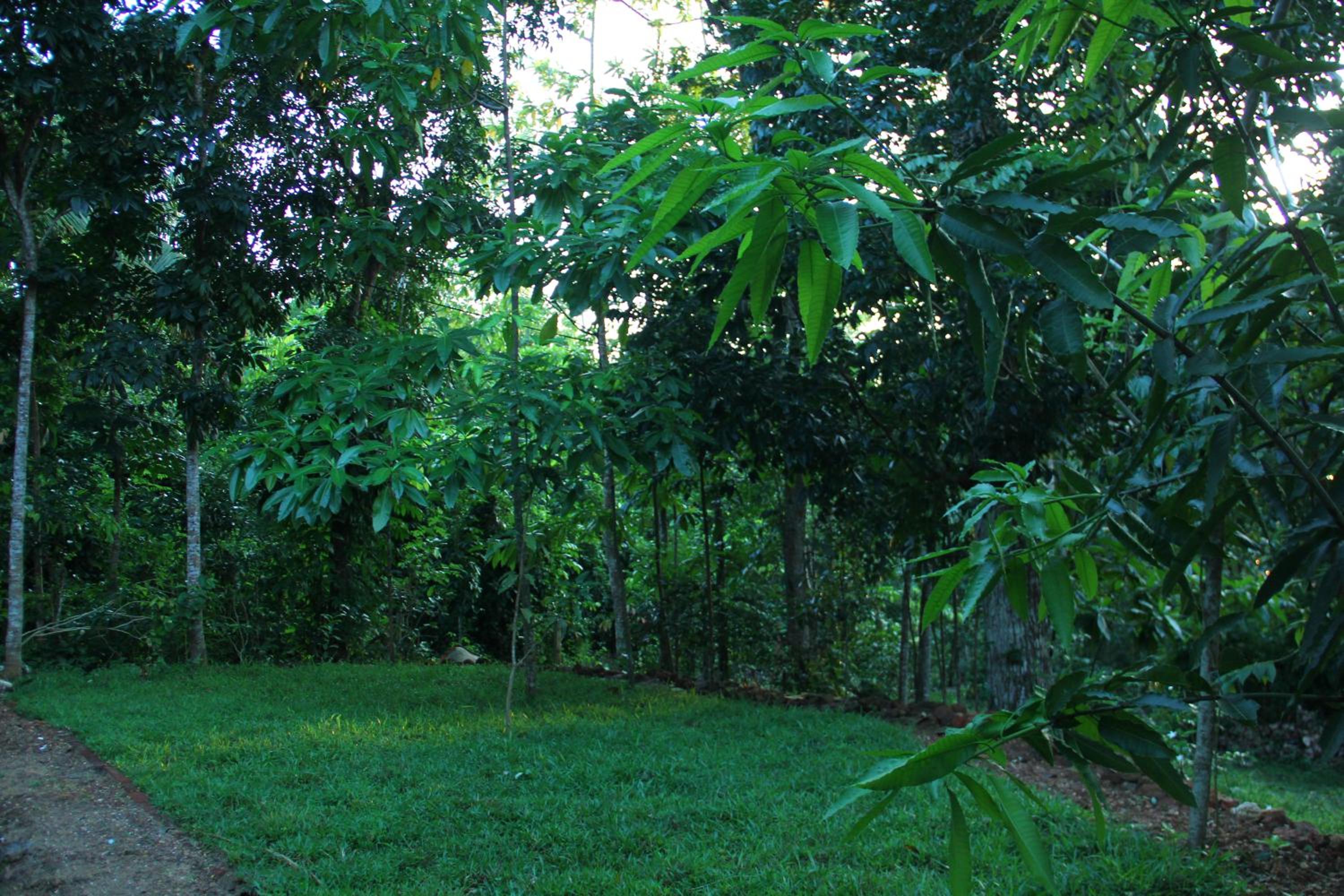 Photo 48