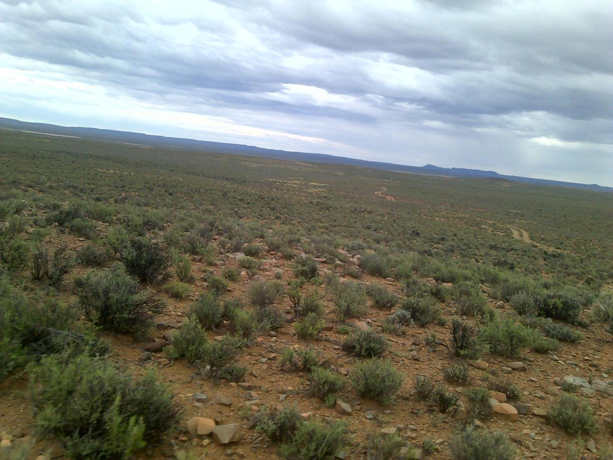 Photo 51
